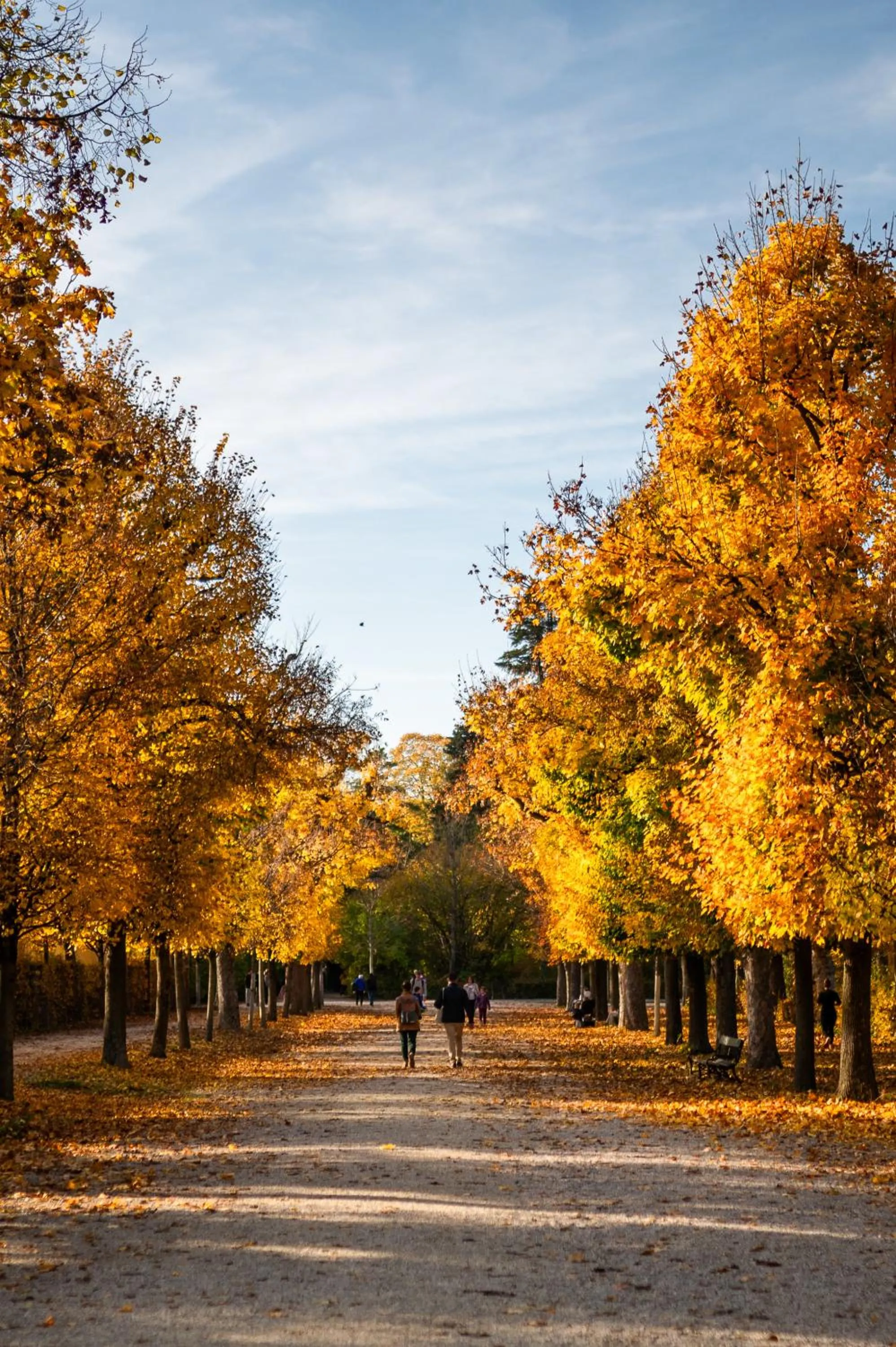 Natural landscape in WELTWIEN Luxury Art Apartments & Free Parking