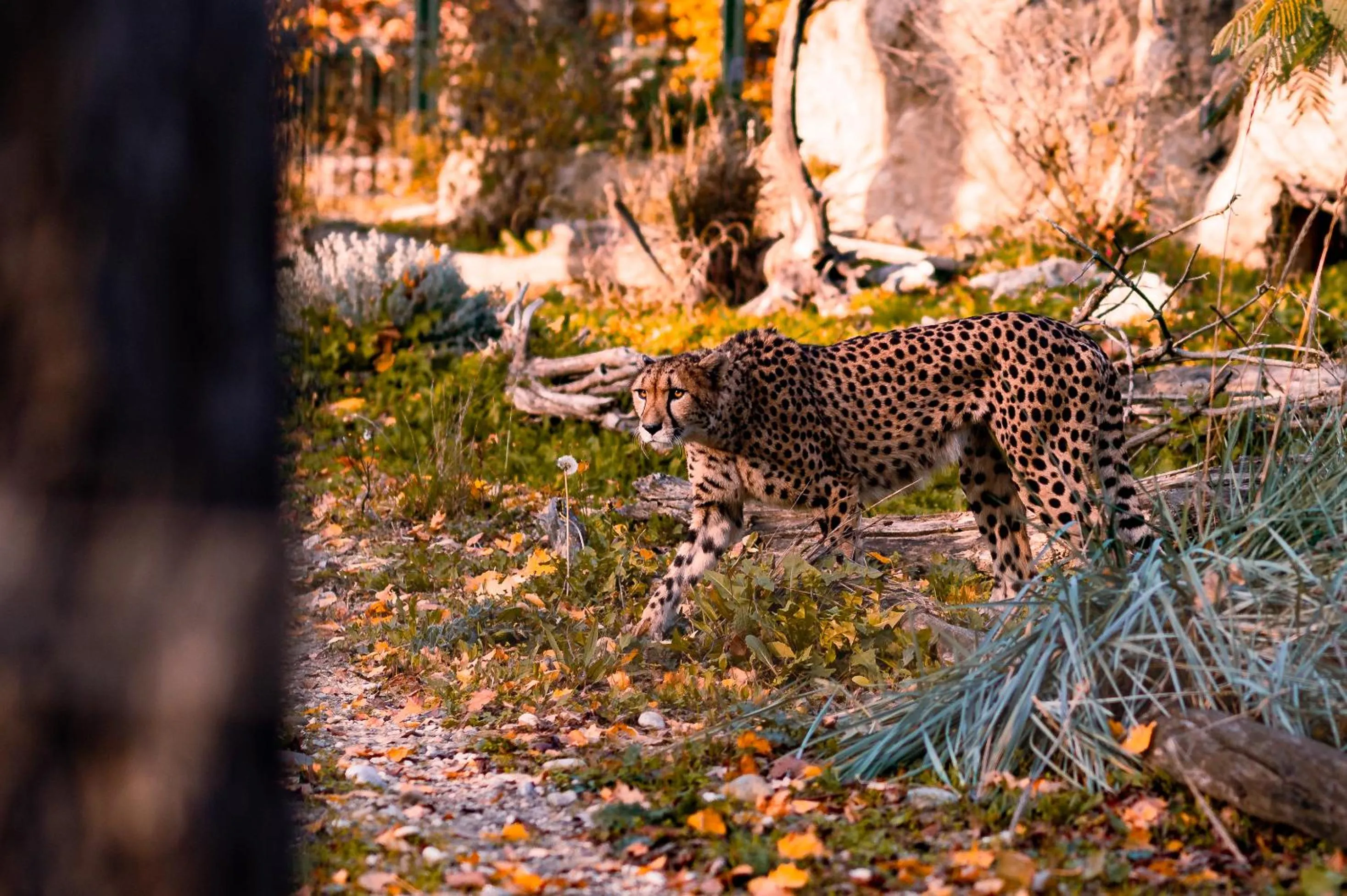 Day in WELTWIEN Luxury Art Apartments & Free Parking