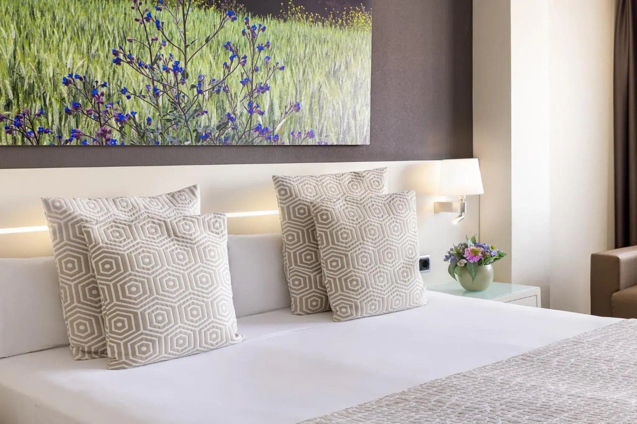 Bed in Calipolis Bed in Calipolis