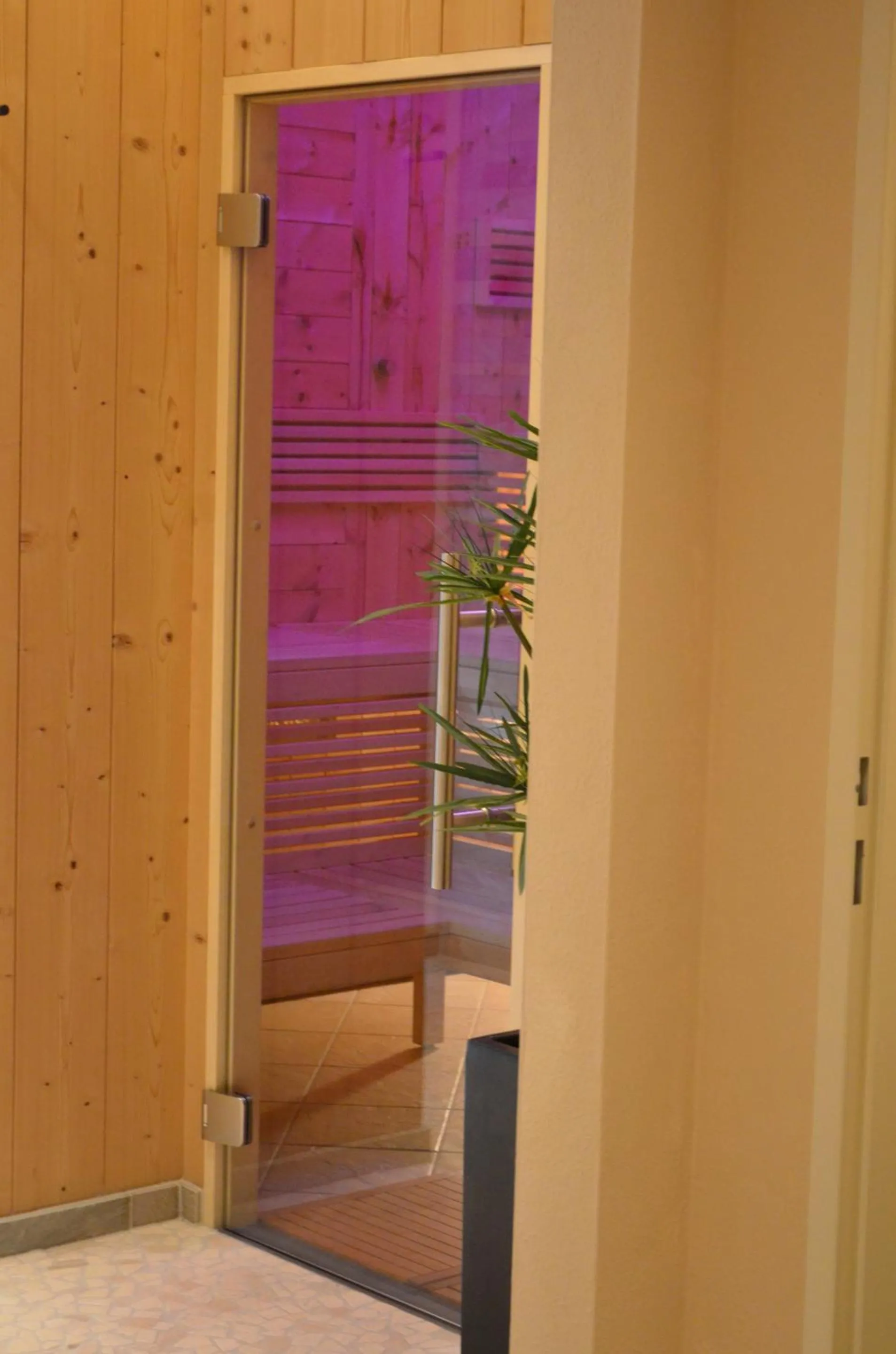 Spa and wellness centre/facilities in Hotel Starjet