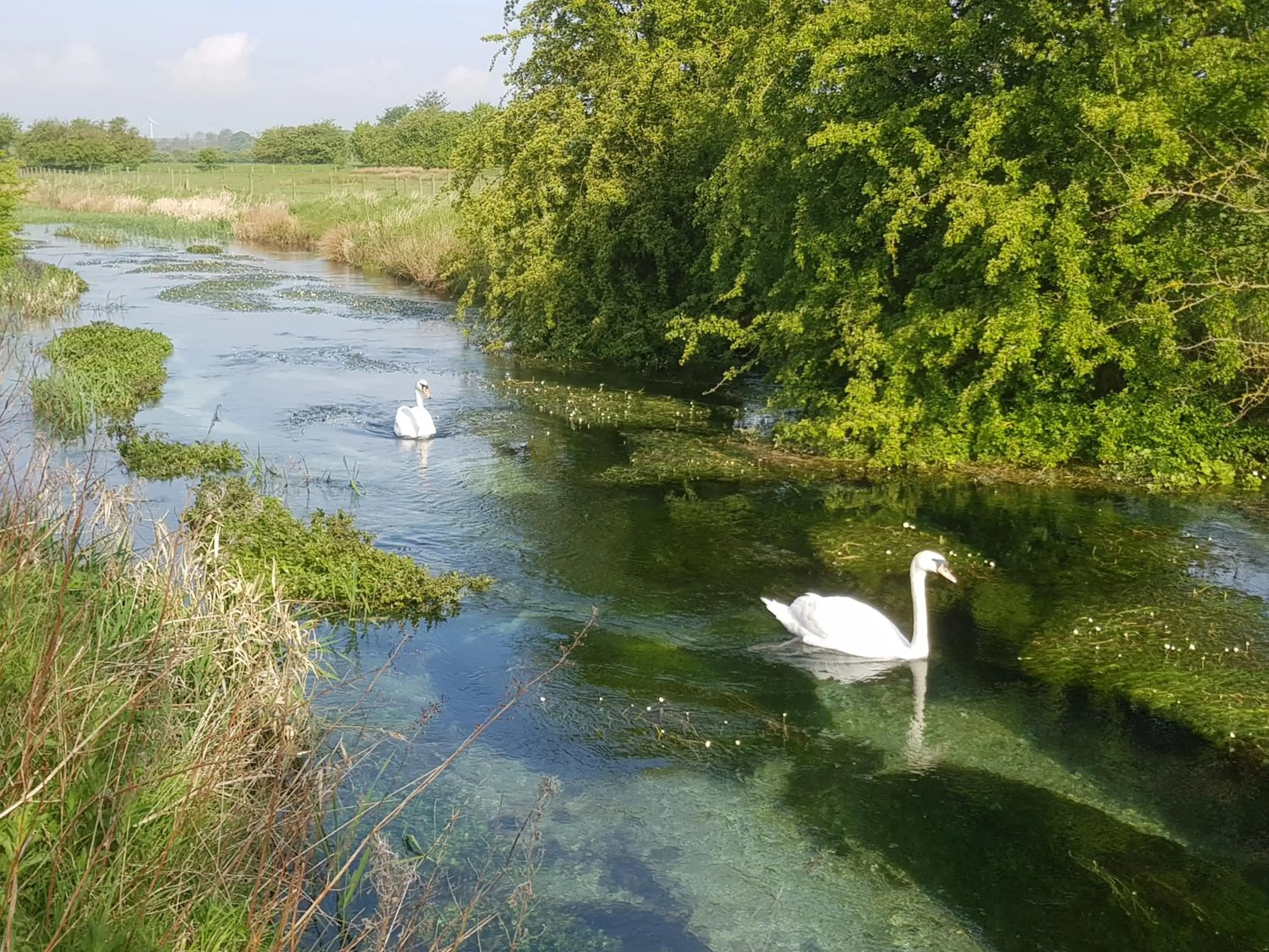 Natural landscape in Wold Escapes, Highfield Farm