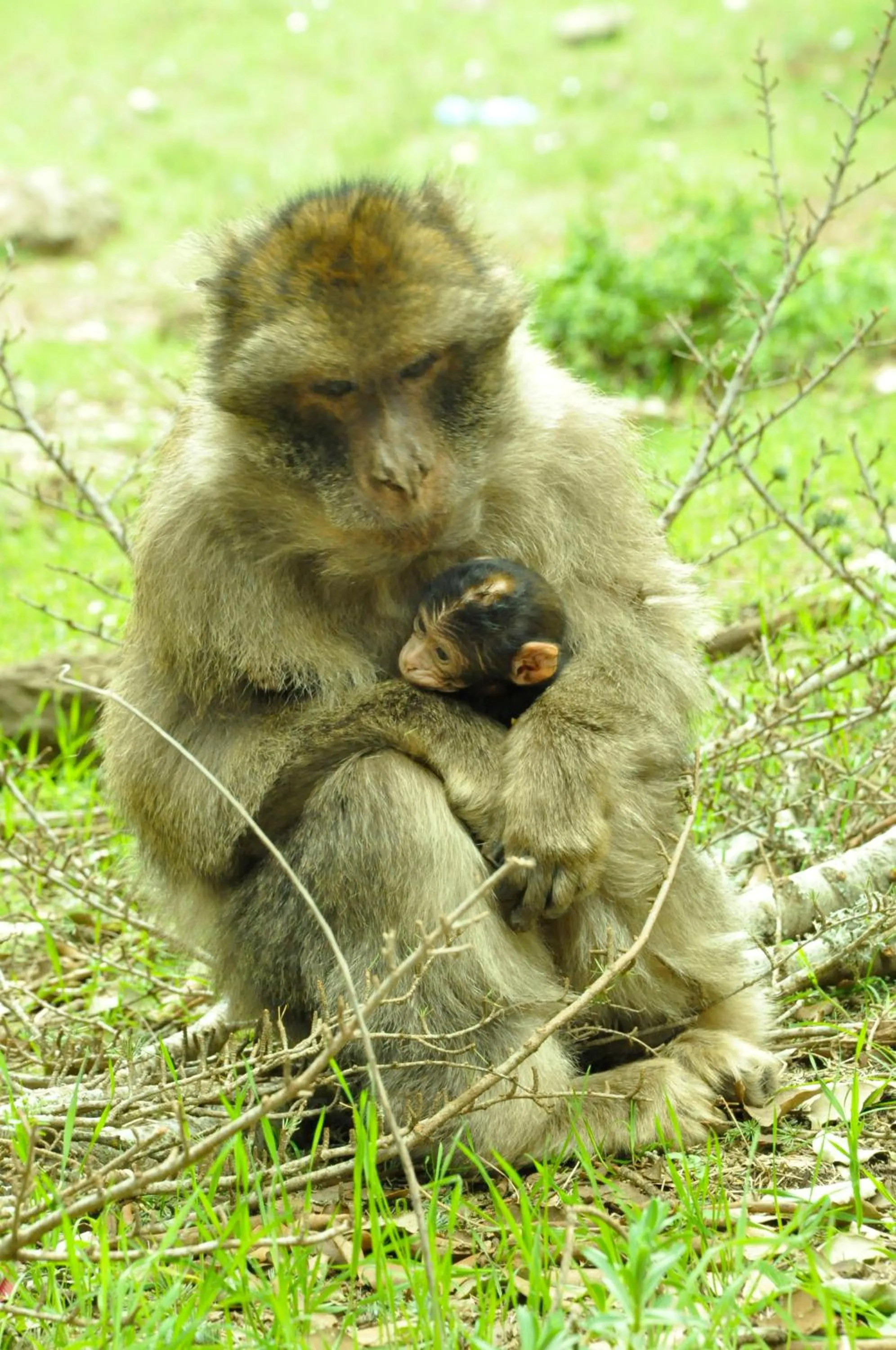 Hiking in Dar 7 Louyat