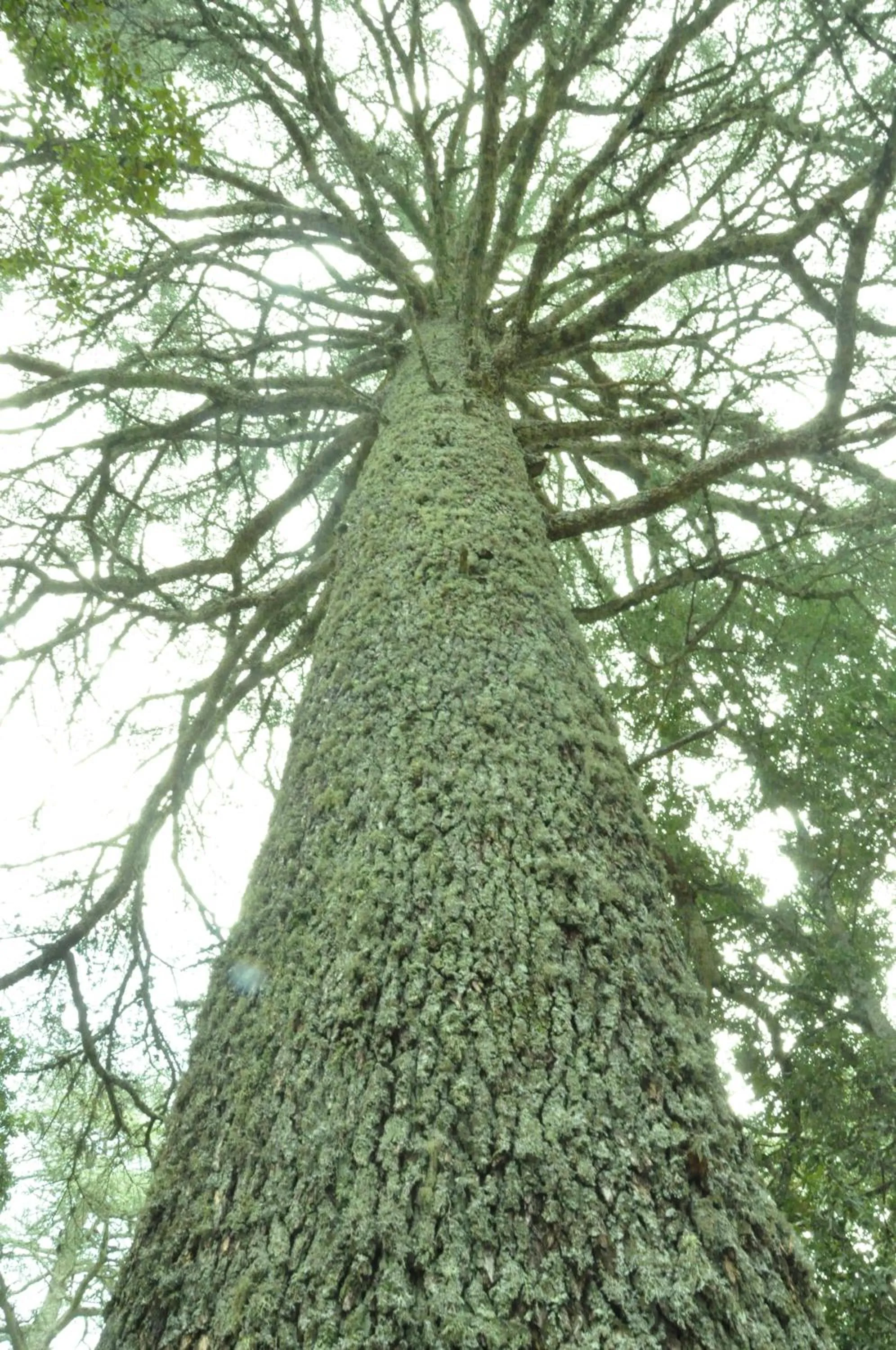 Hiking in Dar 7 Louyat