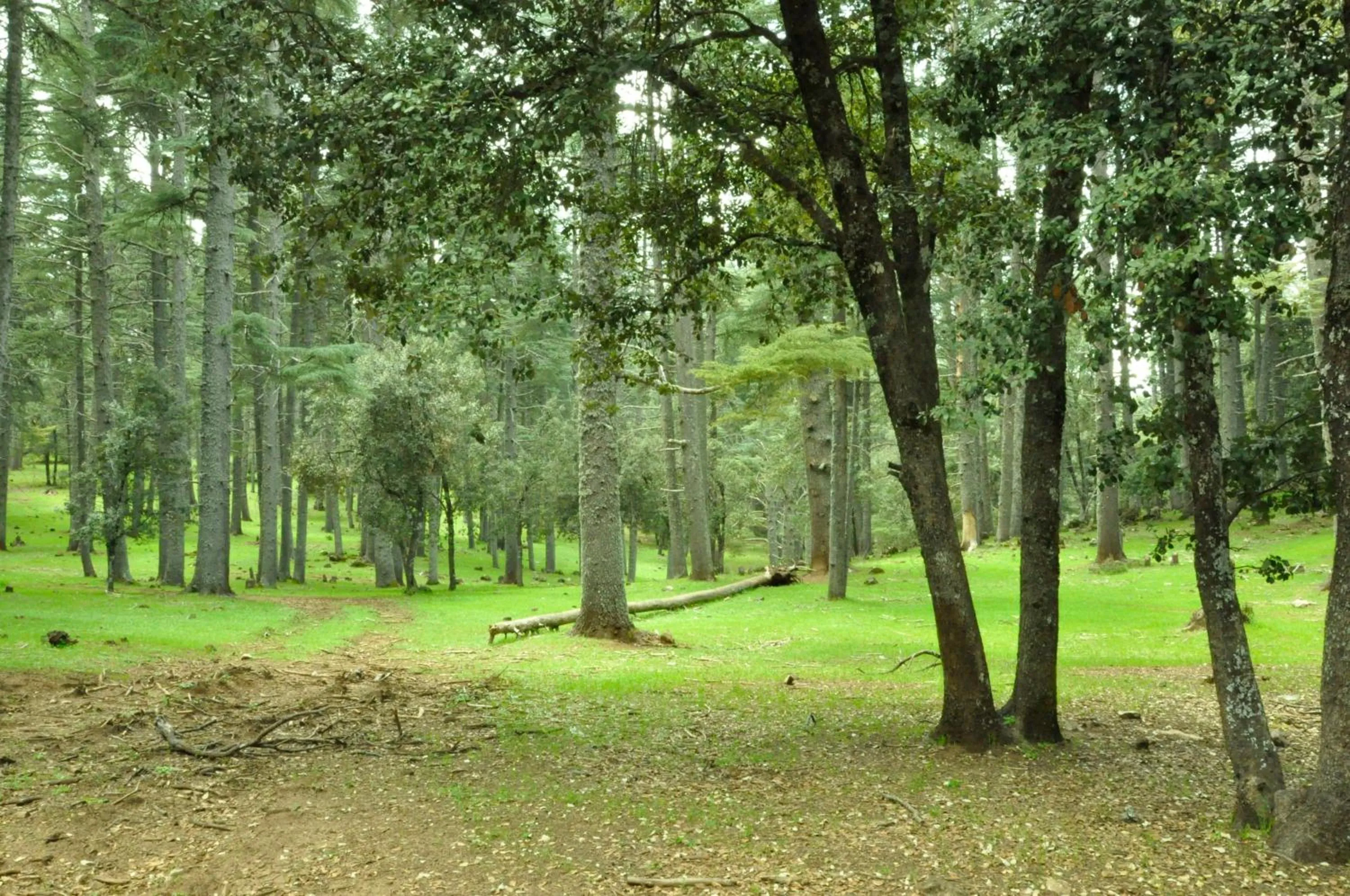 Hiking in Dar 7 Louyat