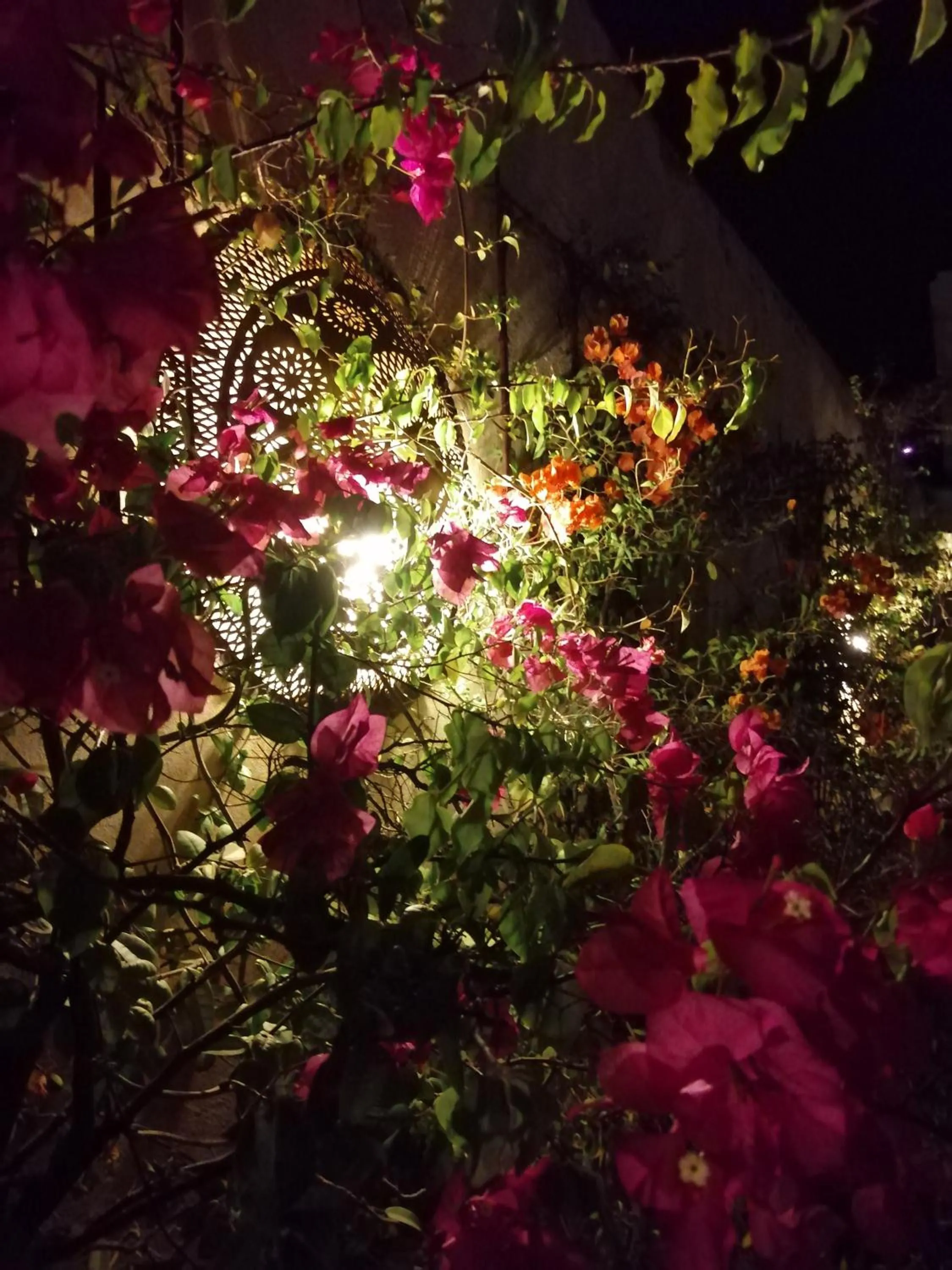 Patio in Dar 7 Louyat