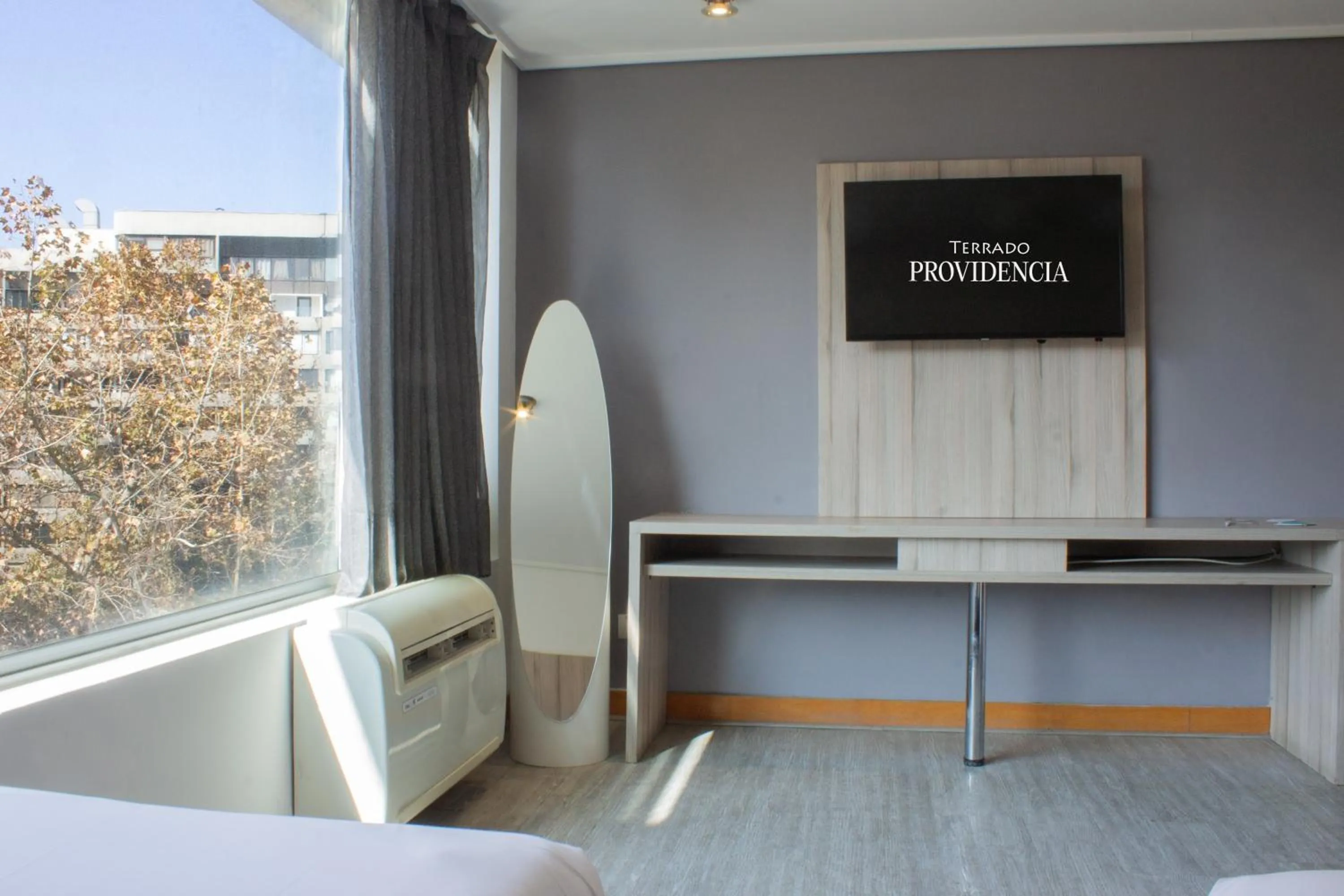 Decorative detail in Hotel Terrado Lyon