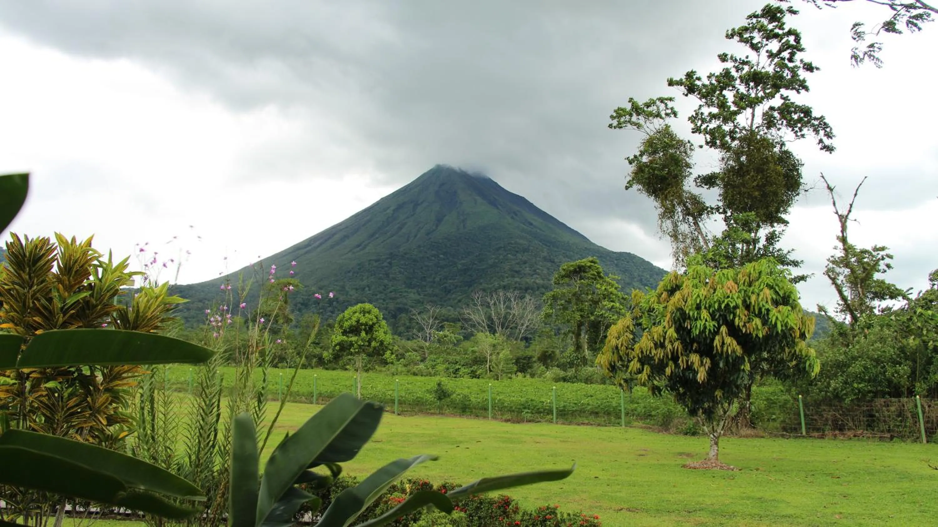 Garden in Hotel La Pradera del Arenal
