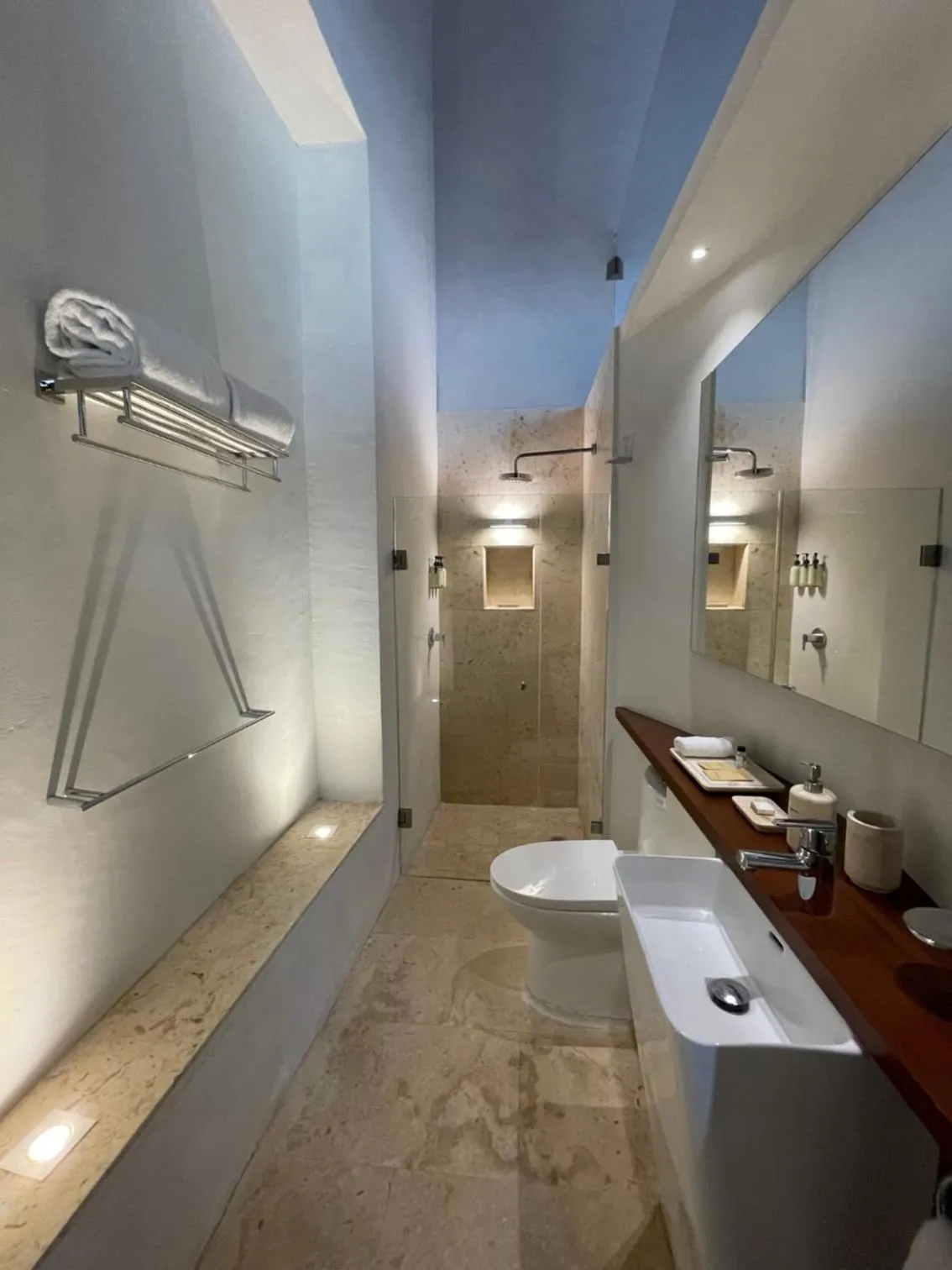 Shower in Las Lupitas Hotel Boutique