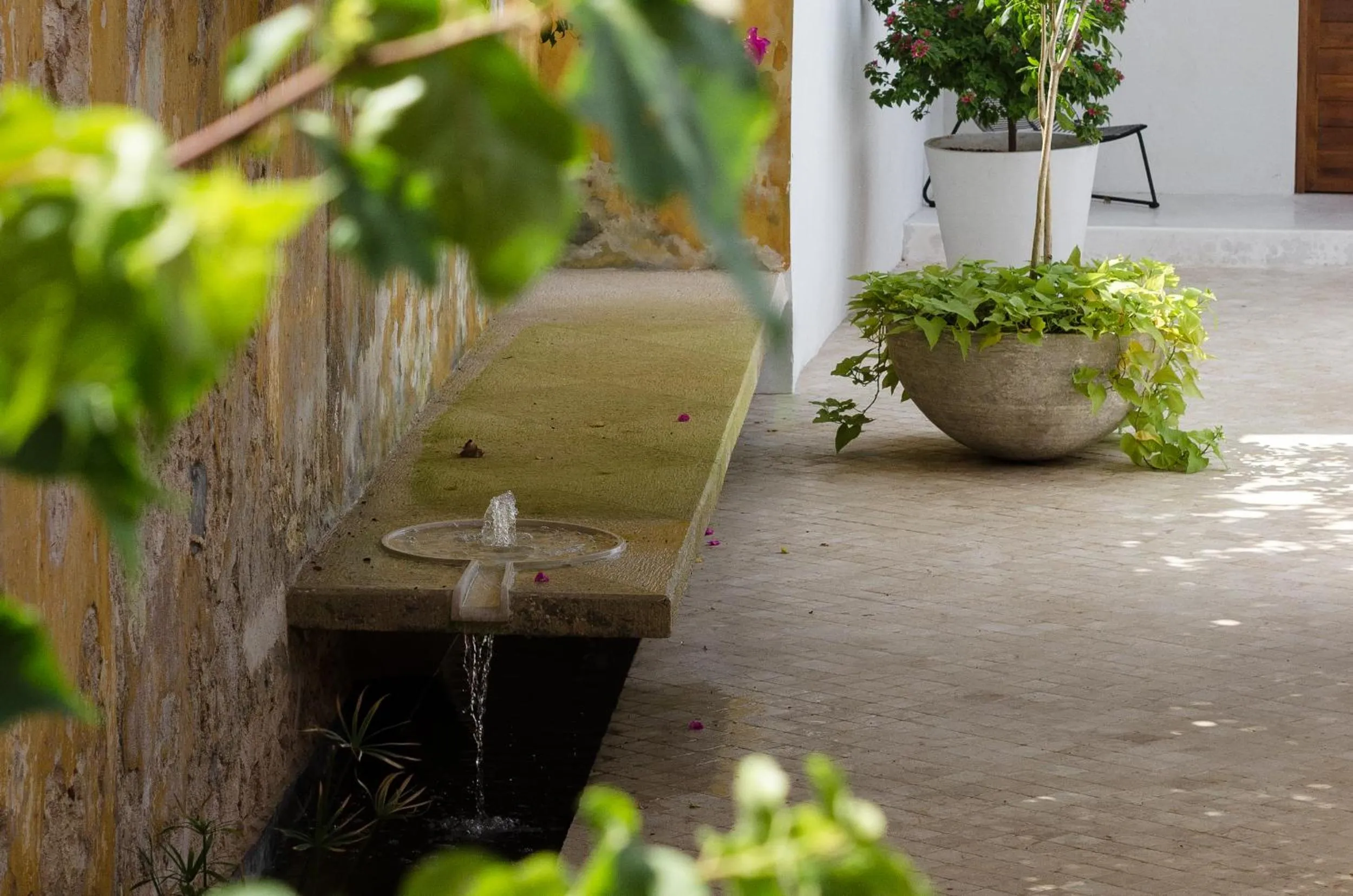 Patio in Las Lupitas Hotel Boutique
