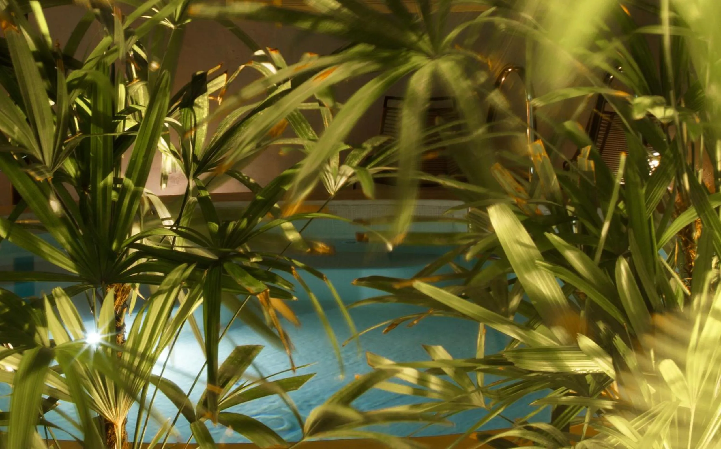 Pool view in Las Lupitas Hotel Boutique