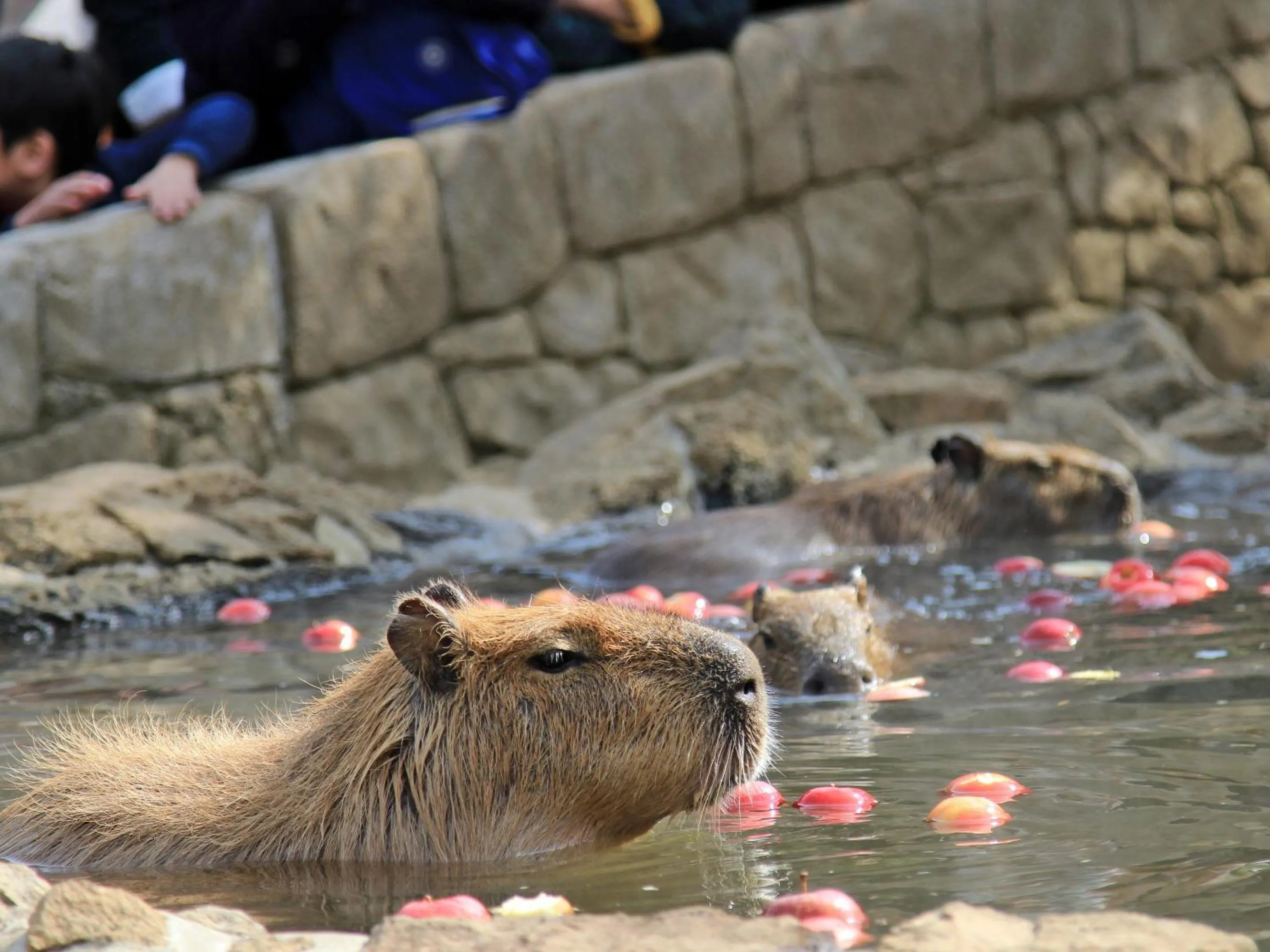 Nearby landmark in SUIHOUEN