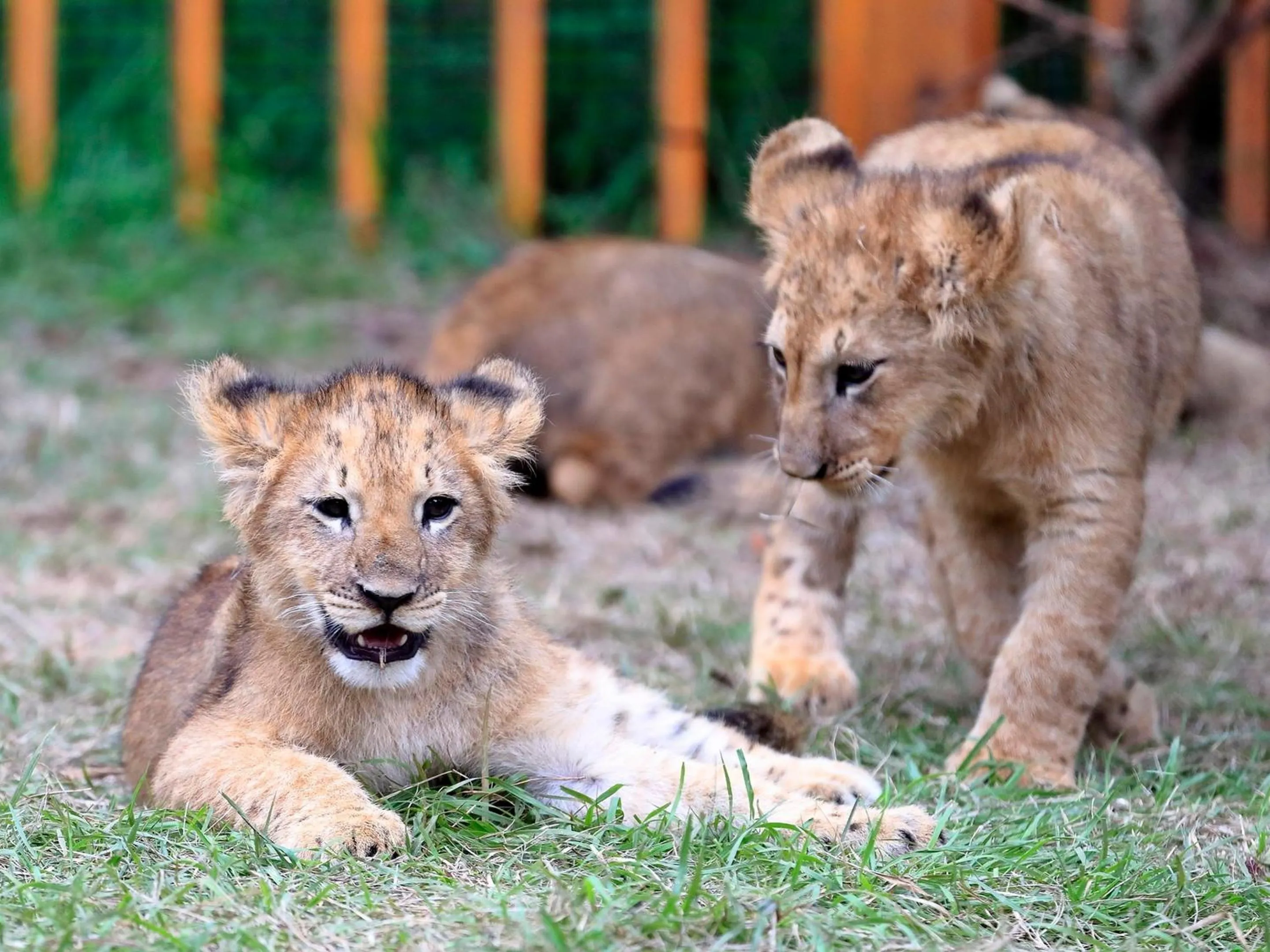 Nearby landmark in SUIHOUEN