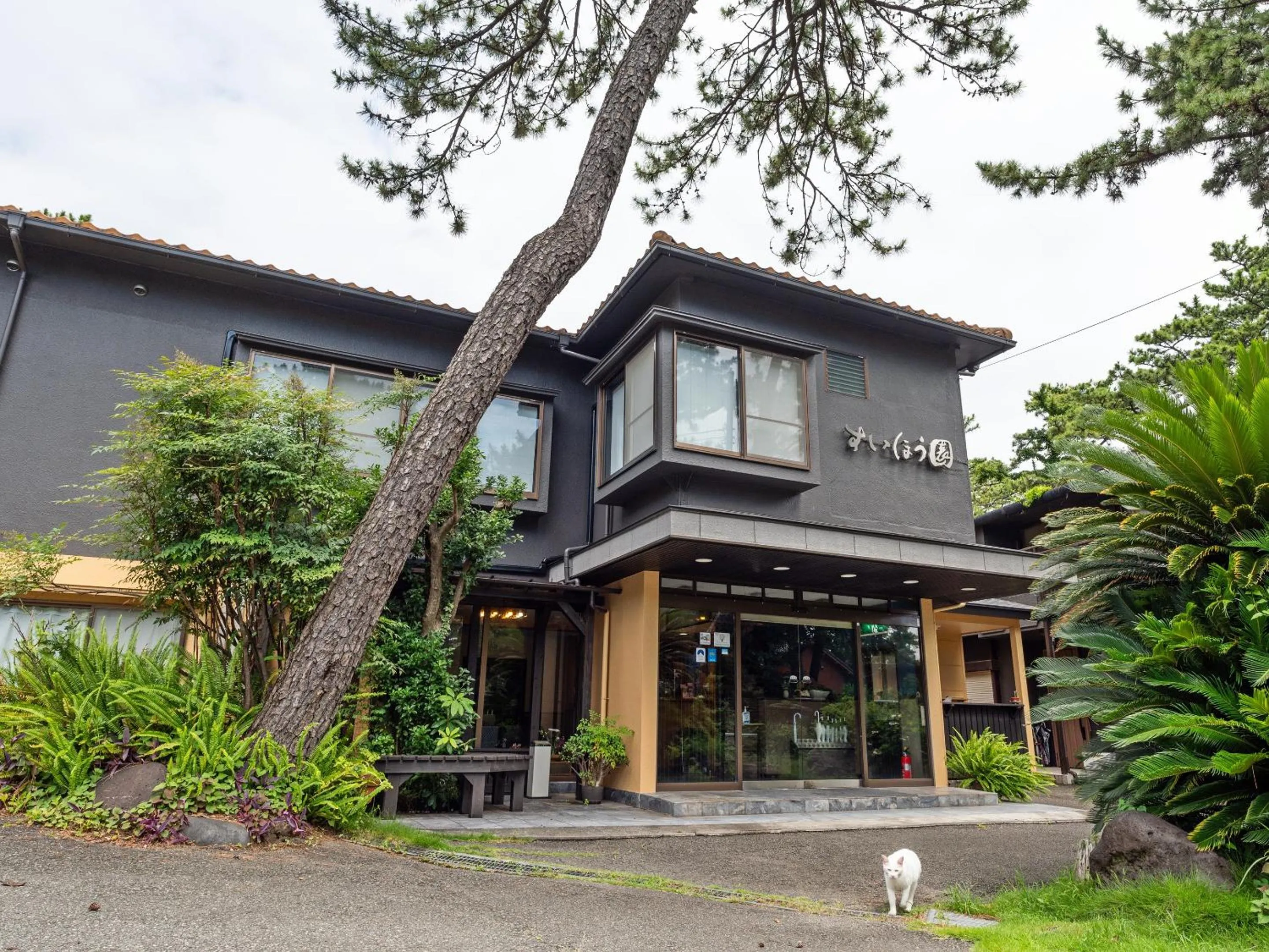 Property building in SUIHOUEN