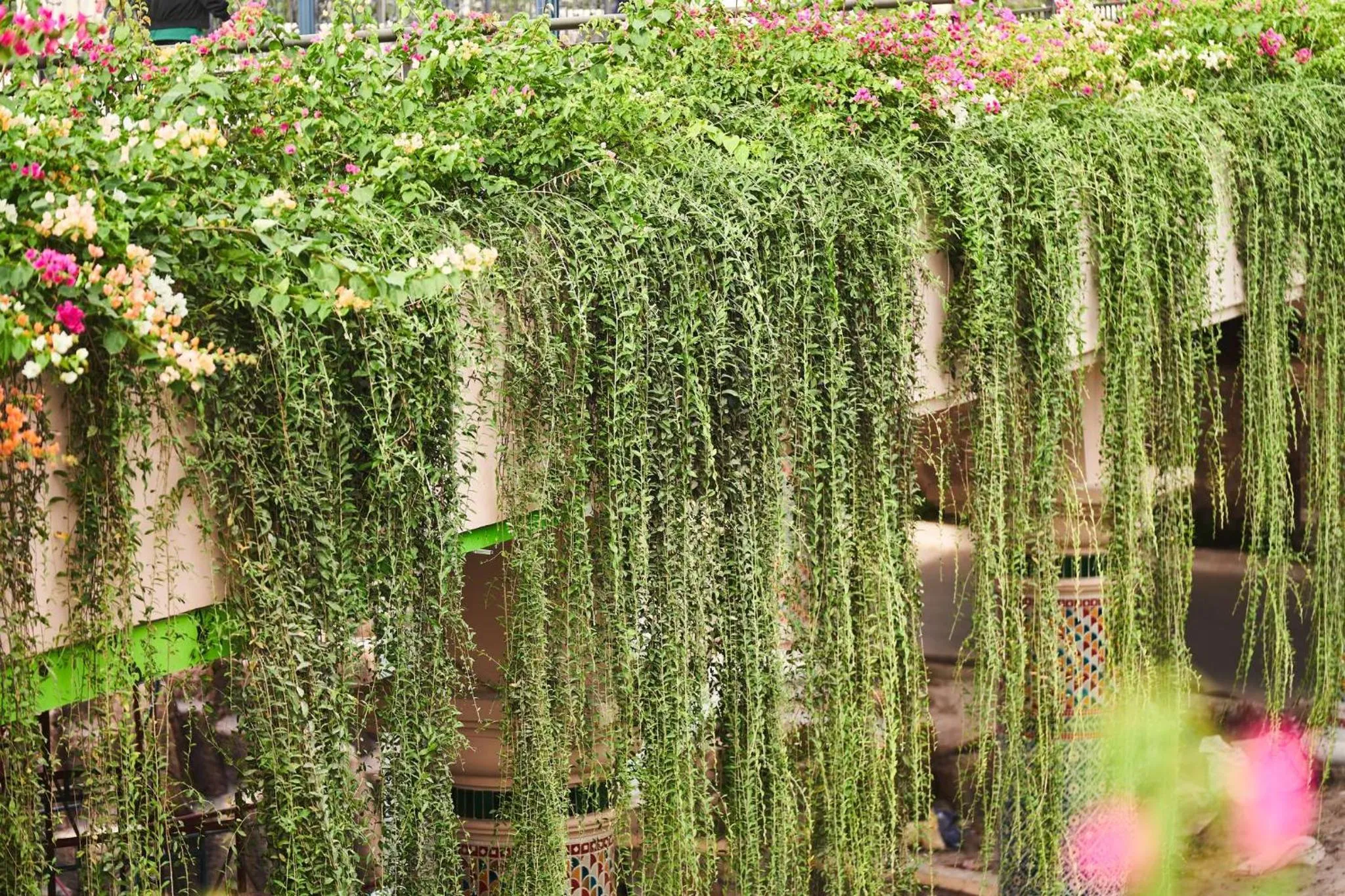 Garden view in Times Corner Sorrento Hotel - Complimentary Sunset Town Tour 4pm to 5pm everyday