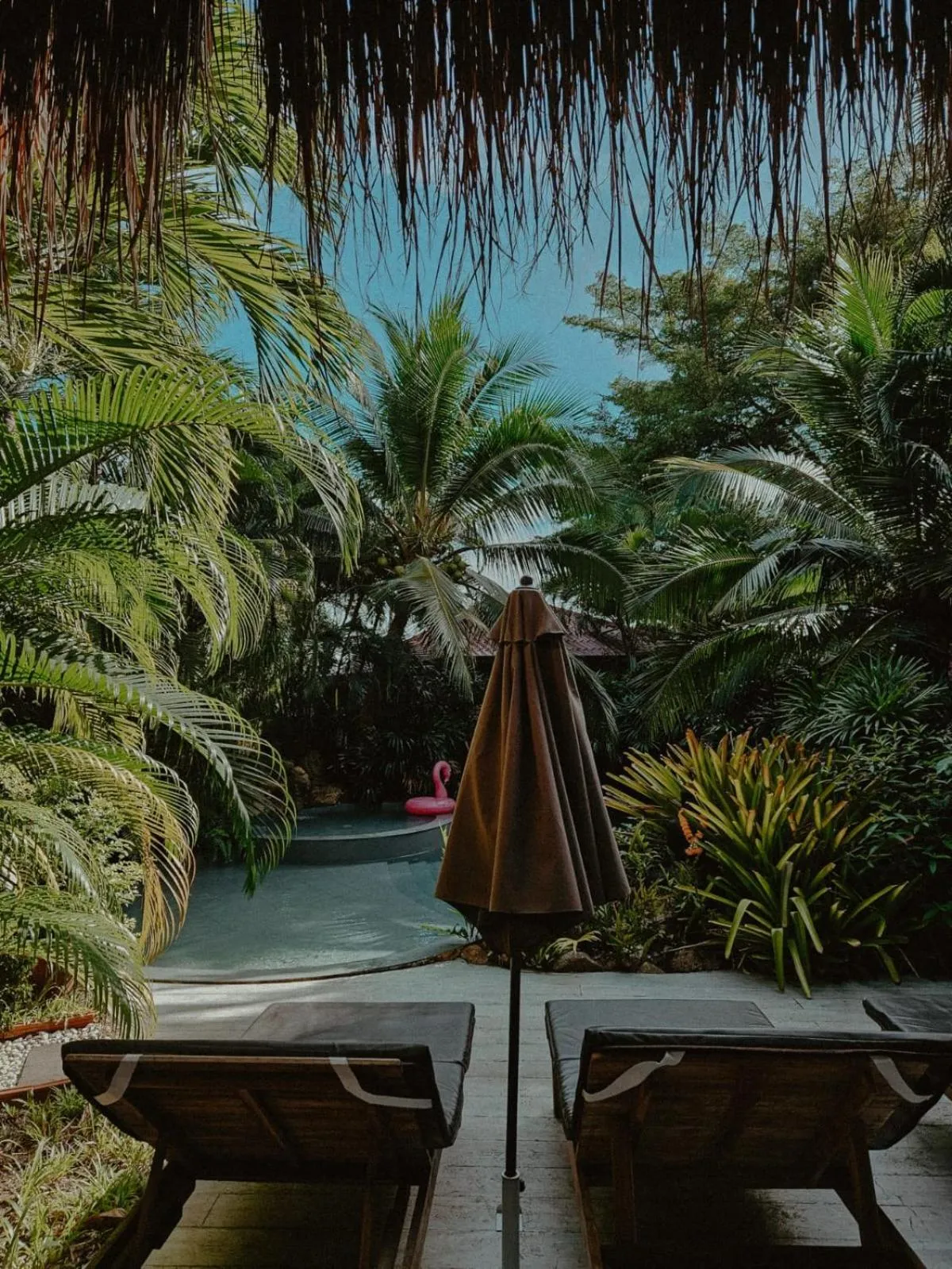 Garden in Jade cottages