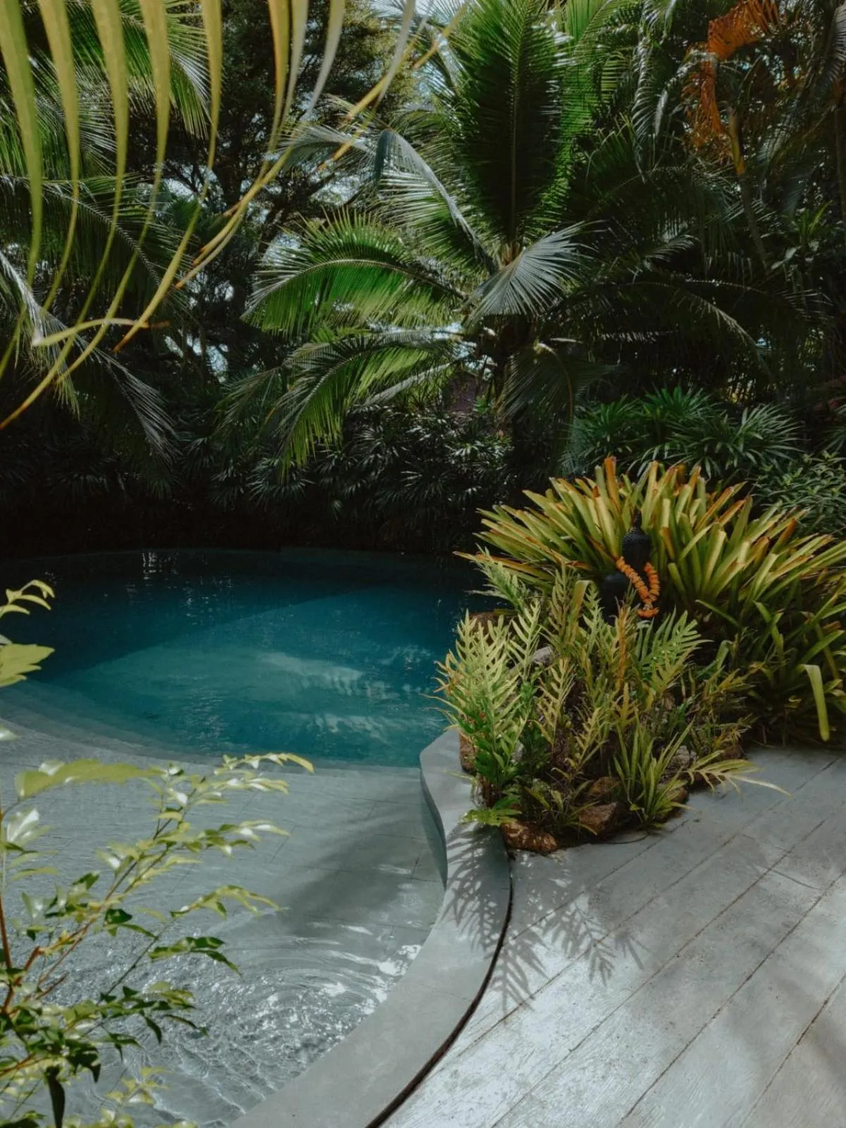 Natural landscape in Jade cottages