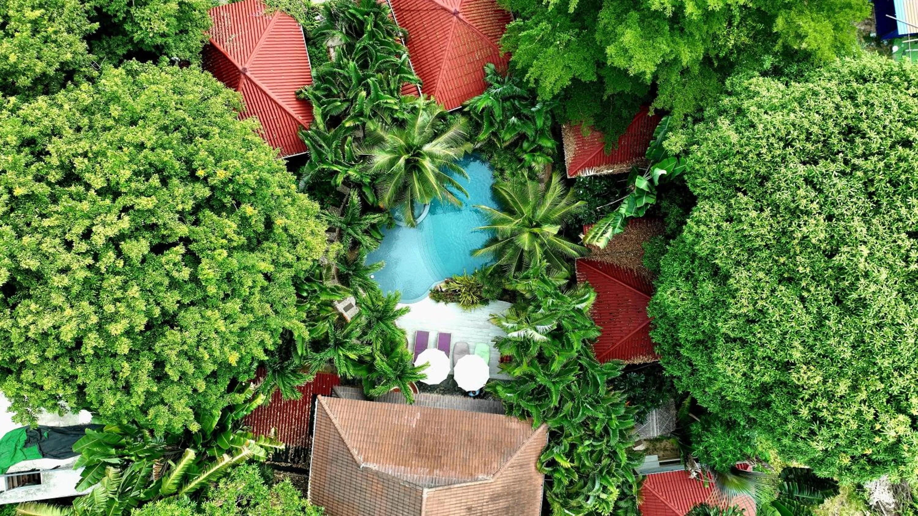 Natural landscape in Jade cottages