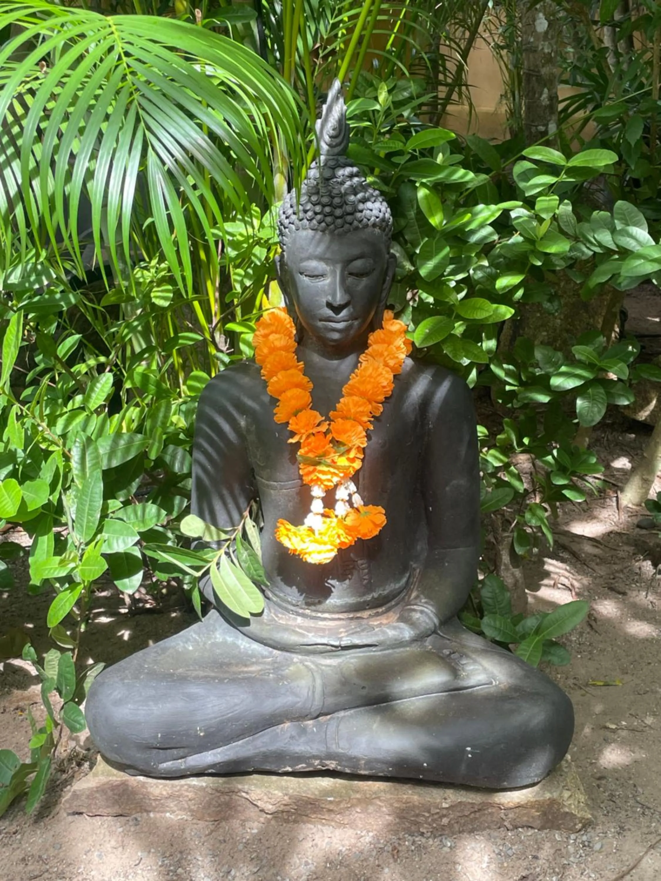 Garden in Jade cottages