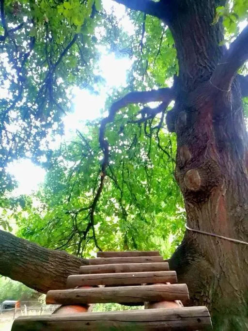 Patio in Cango Retreat Breathe