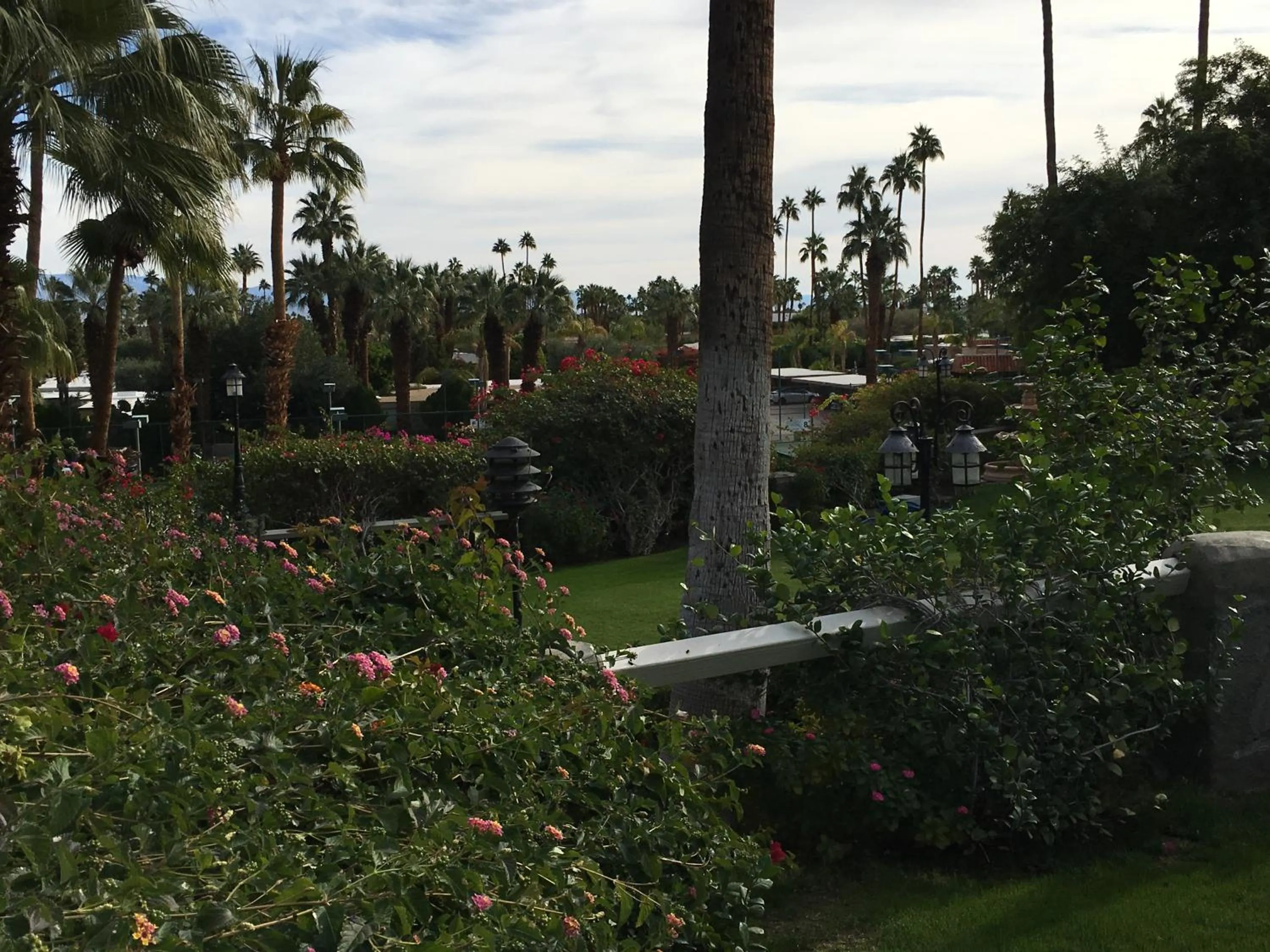 Garden view in GetAways at Palm Springs Tennis Club