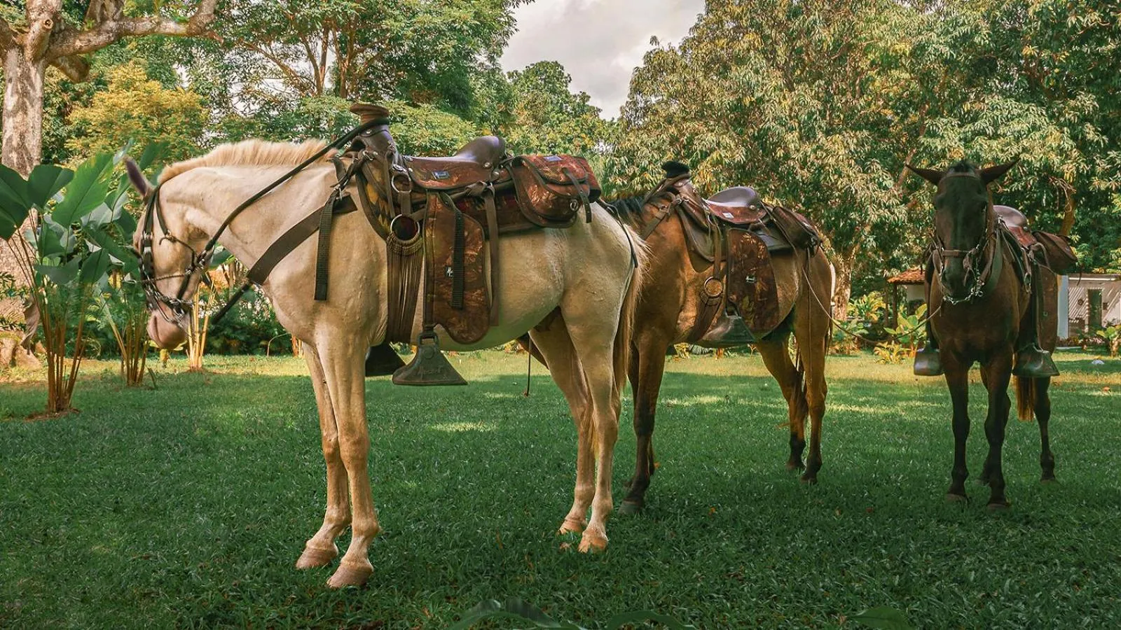 Activities in Kantawa Hotel & Spa