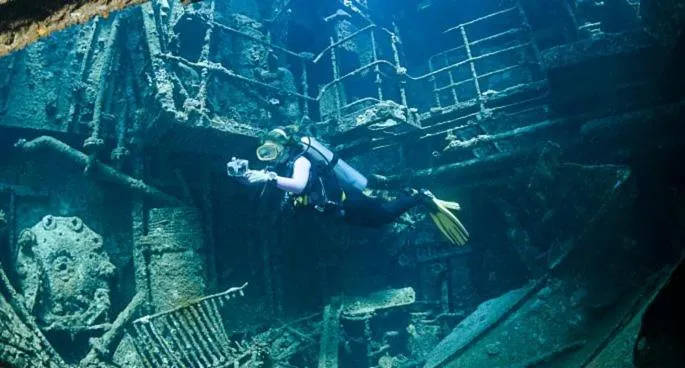 Diving in BIG4 Middleton Beach Holiday Park