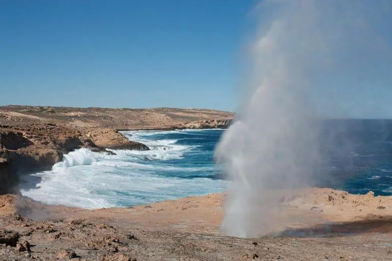 Natural landscape in BIG4 Middleton Beach Holiday Park
