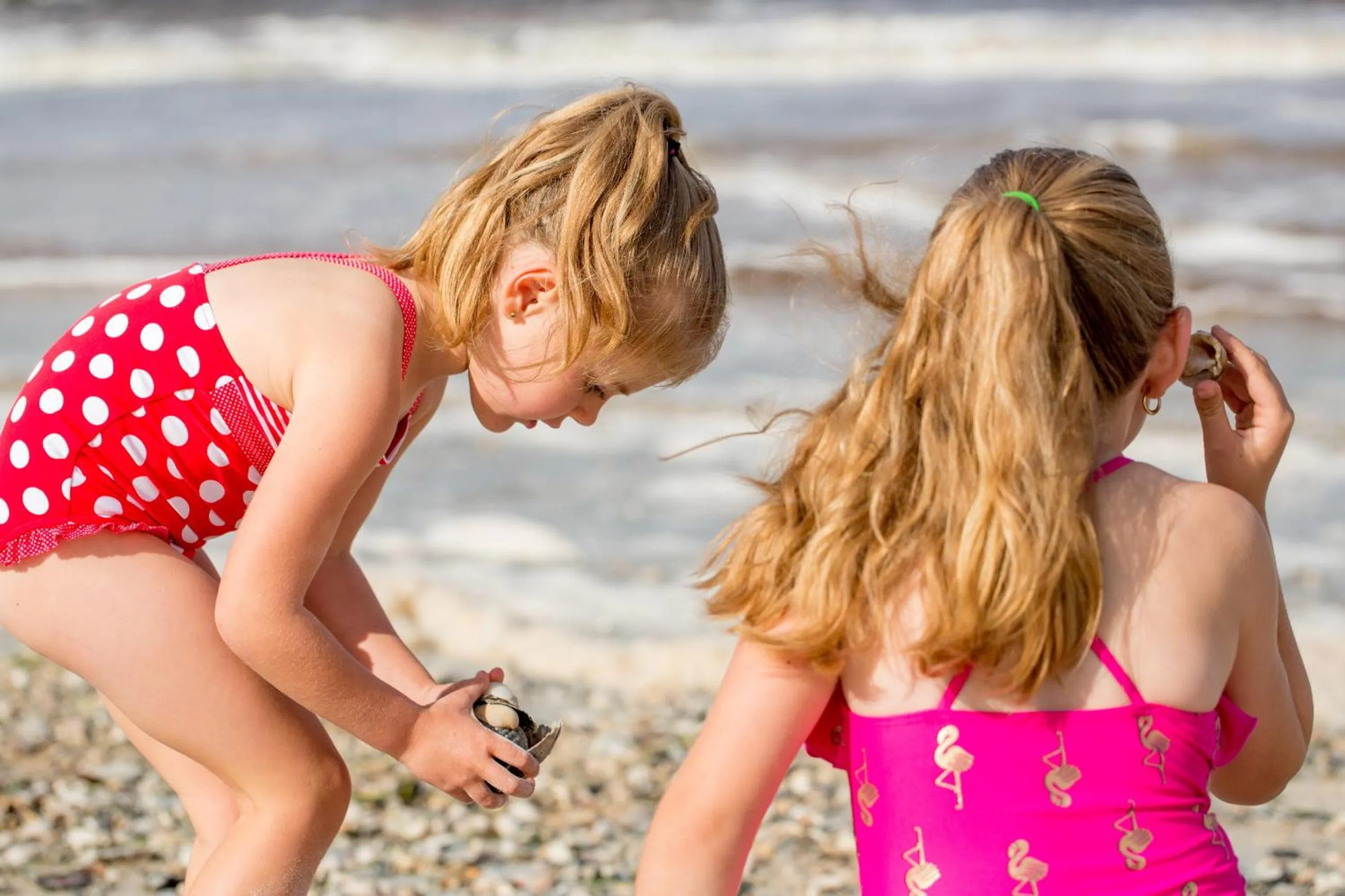 Natural landscape in BIG4 Middleton Beach Holiday Park