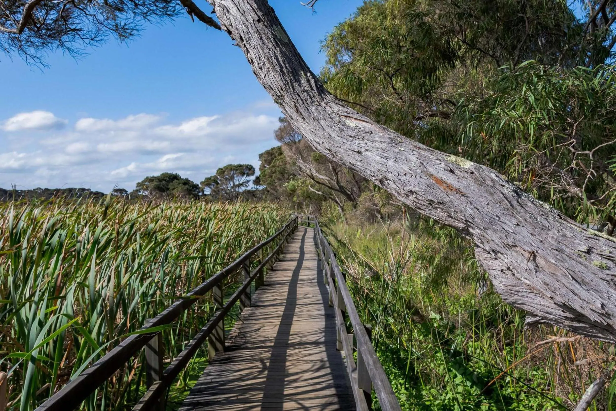 Natural landscape in BIG4 Middleton Beach Holiday Park
