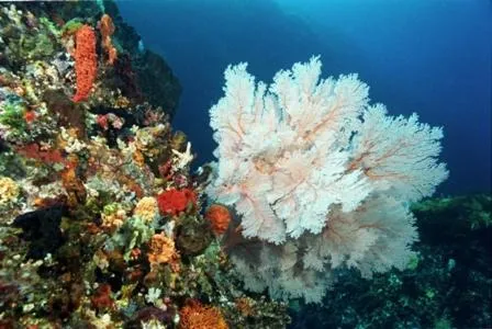 Activities in BIG4 Middleton Beach Holiday Park