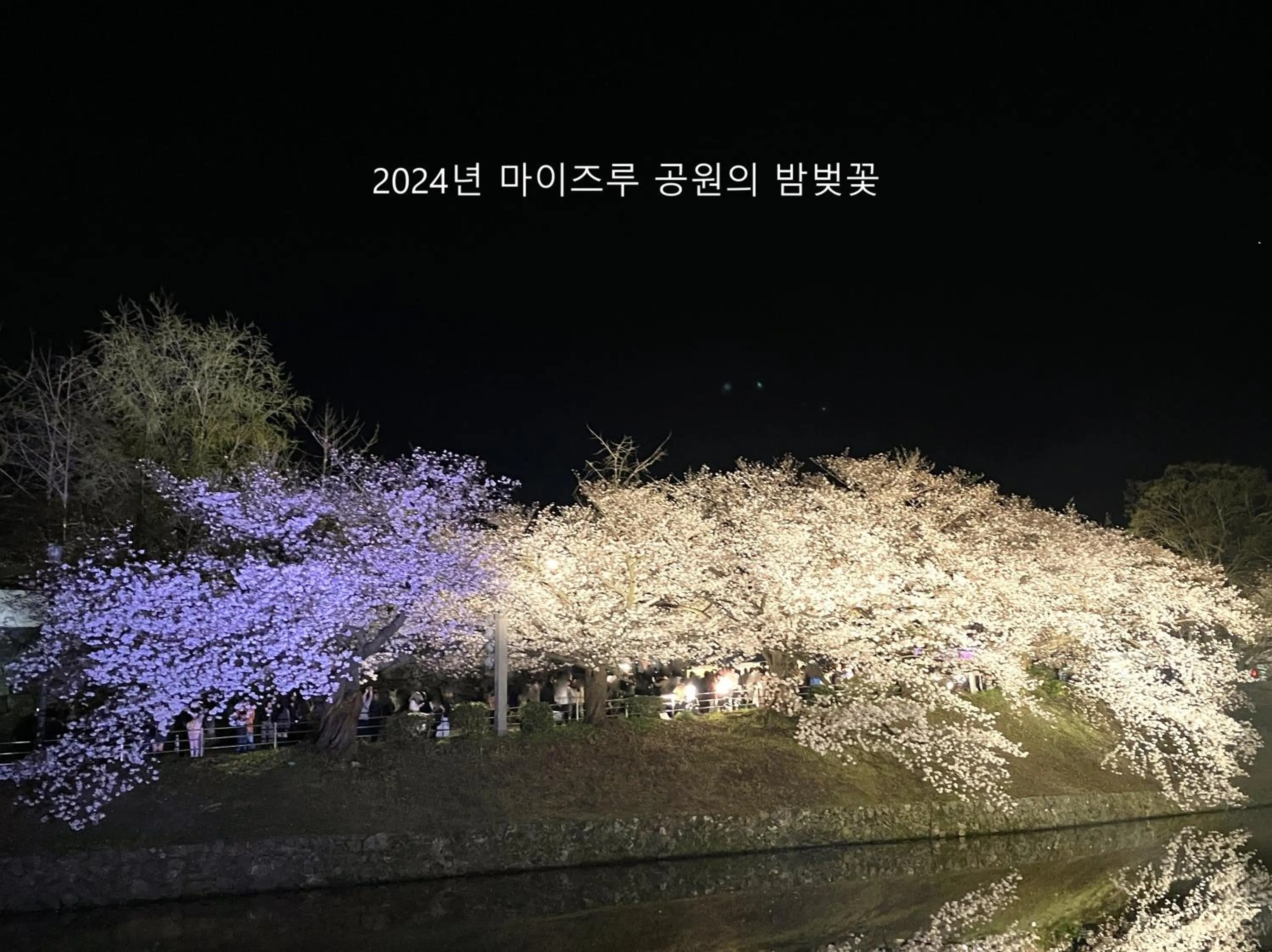 Sky Heart Hotel Hakata