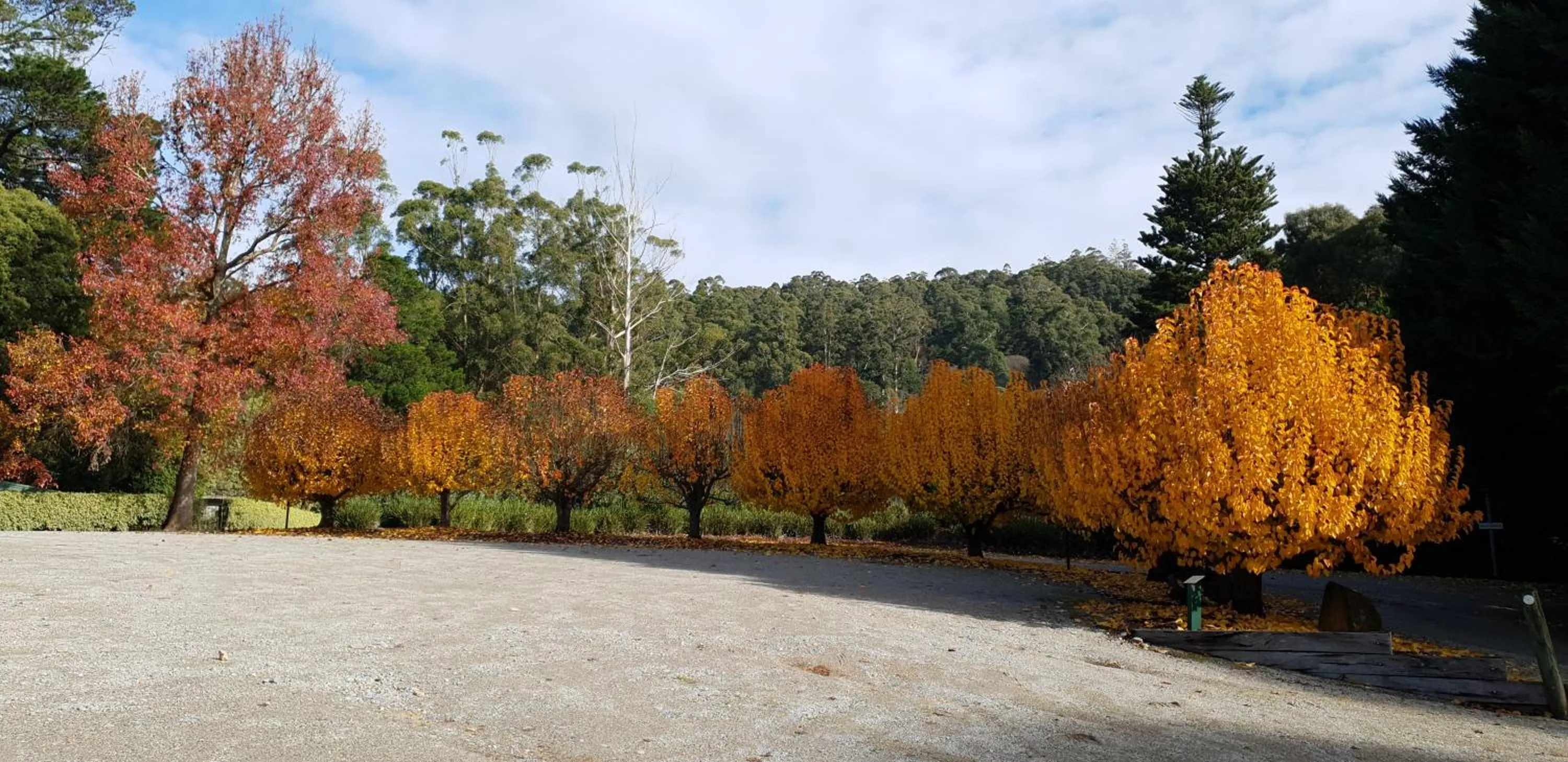 Day in Panorama Retreat & Resort