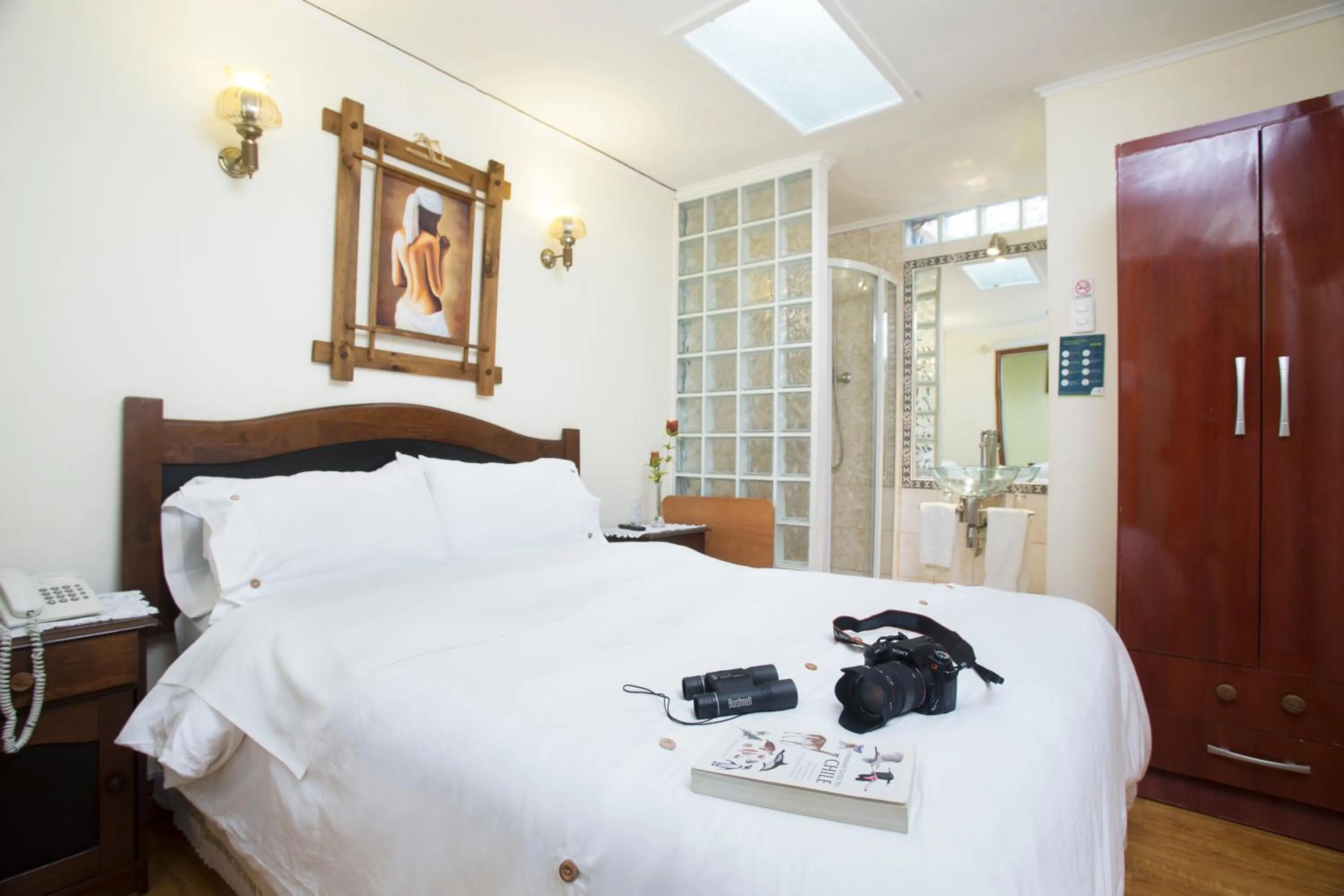 Double Room - single occupancy in Hostal Cordillera