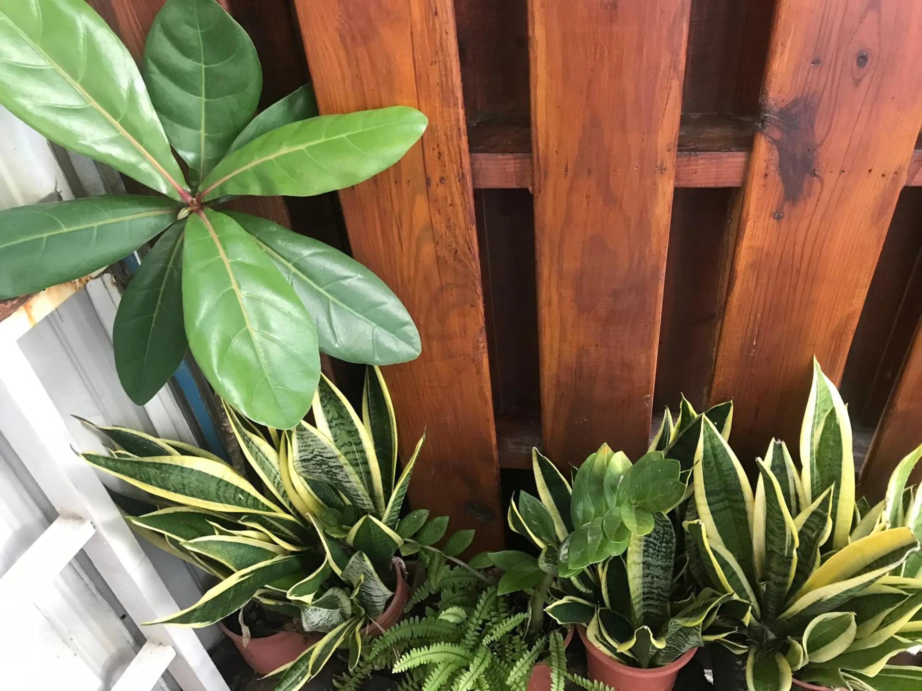 墾丁貝殼灣旅店