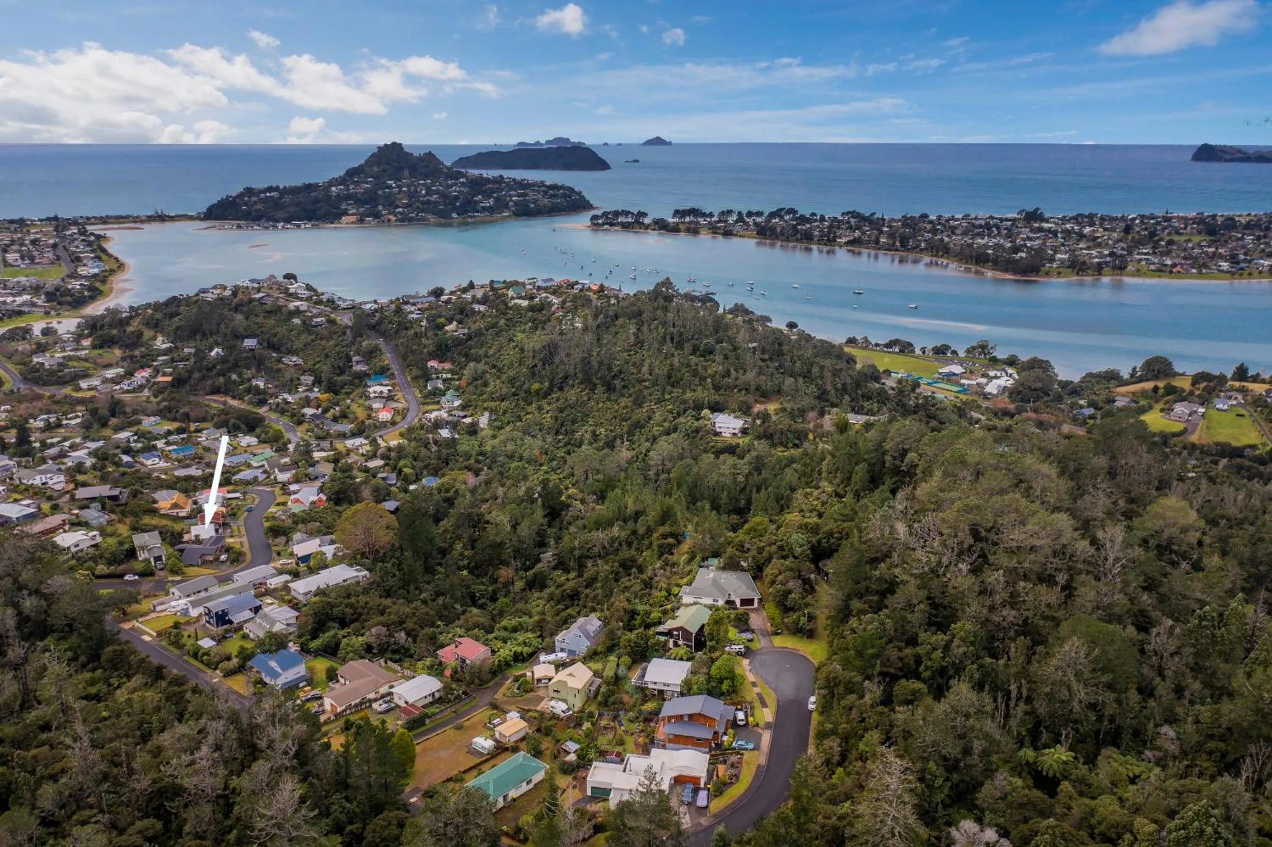 Property building in Manuka Lodge - Tairua Holiday Home