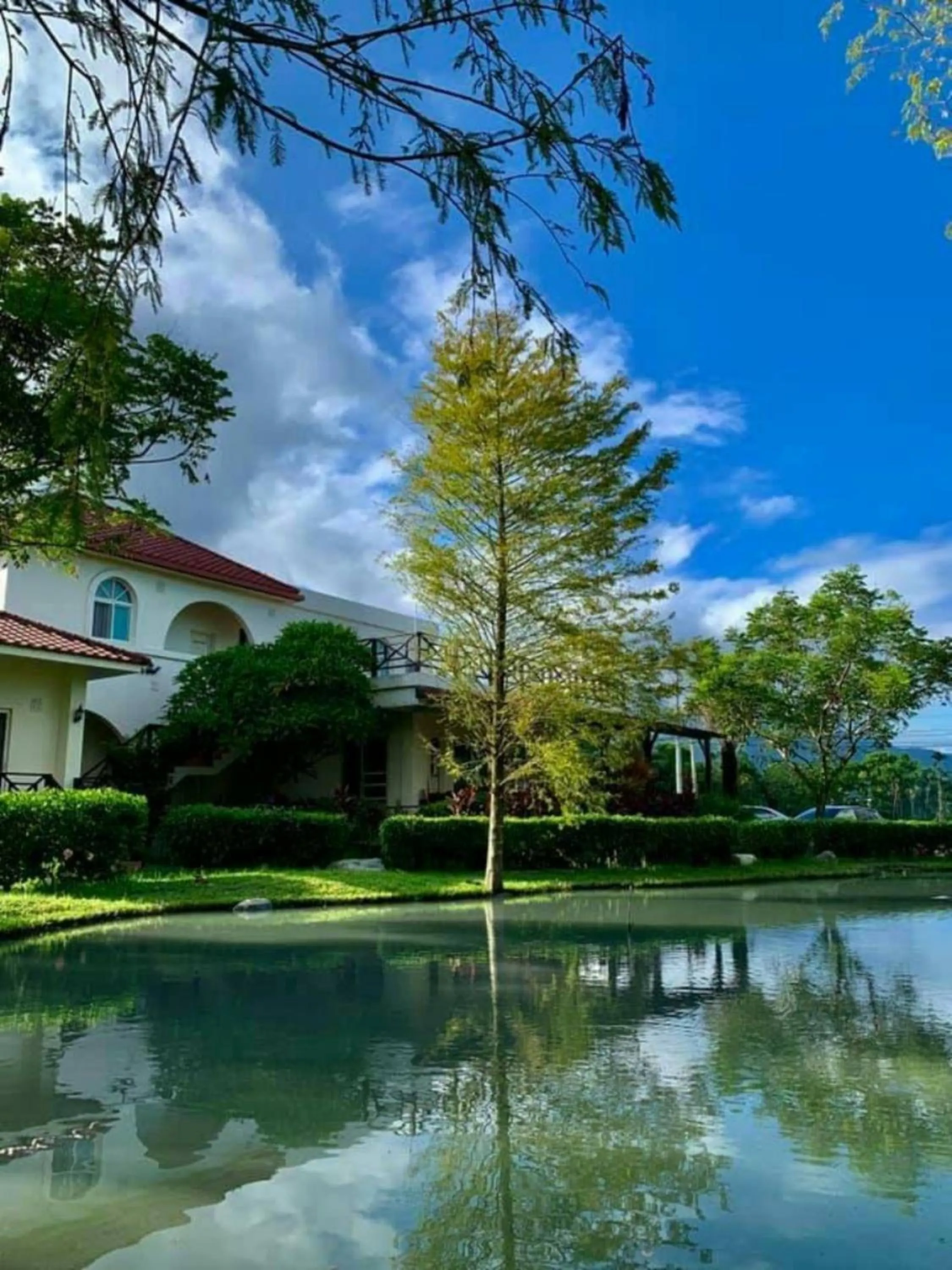 Garden view in Bali Lover