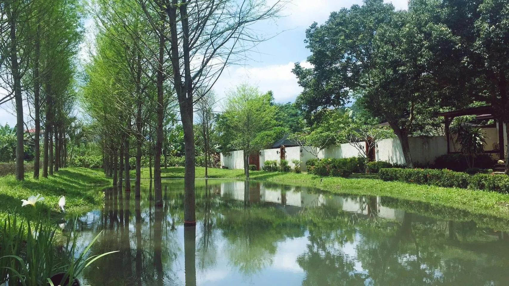 Lake view in Bali Lover