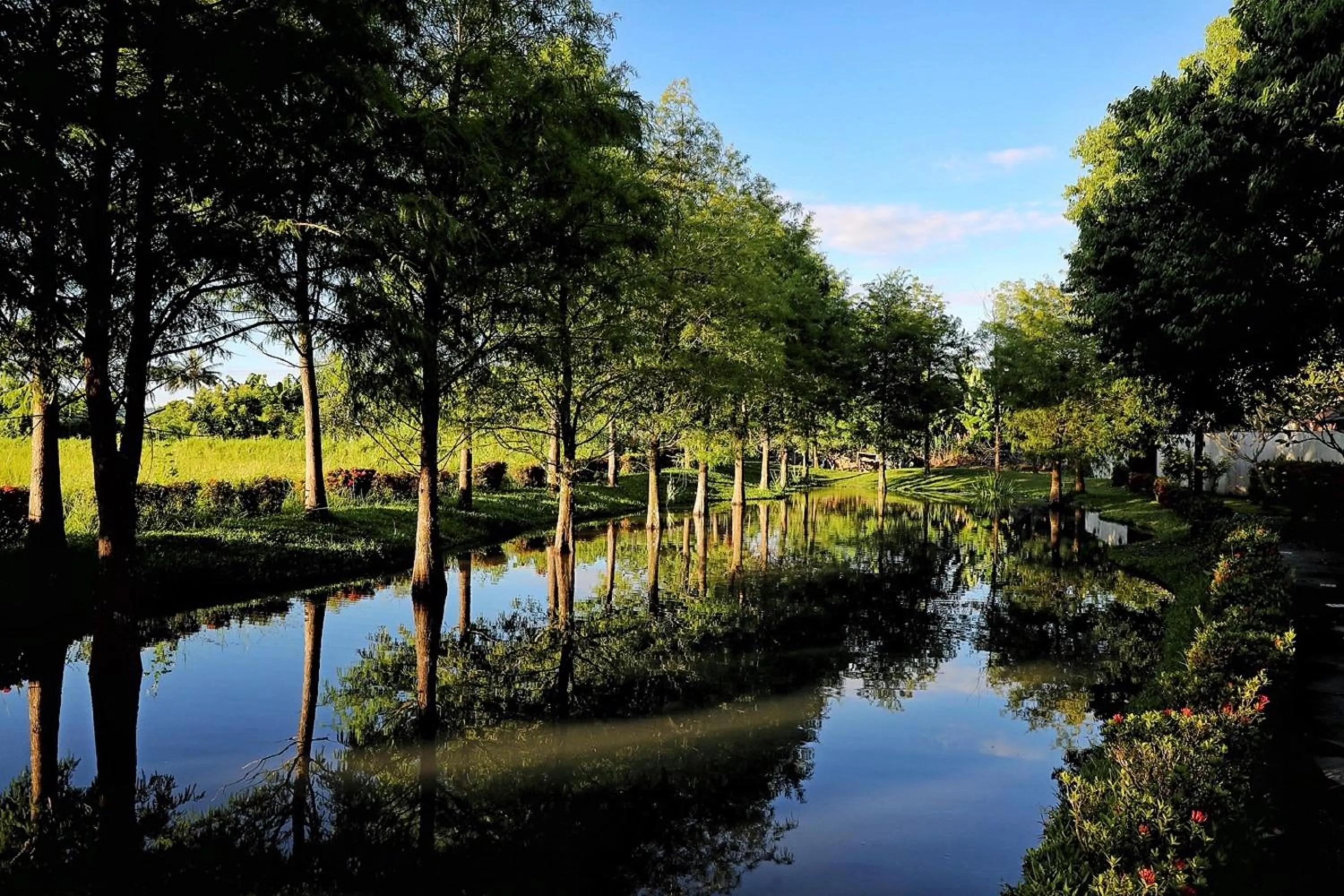 Natural landscape in Bali Lover