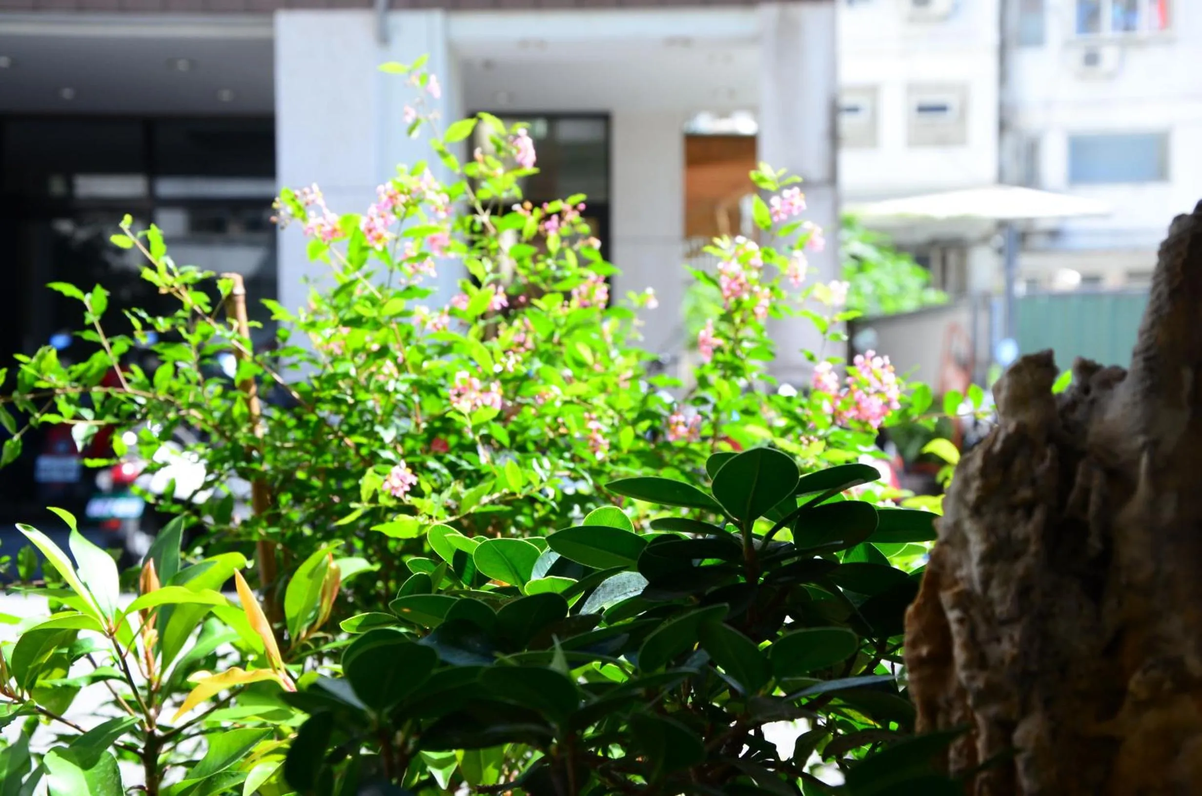 Property building in East of Love Homestay