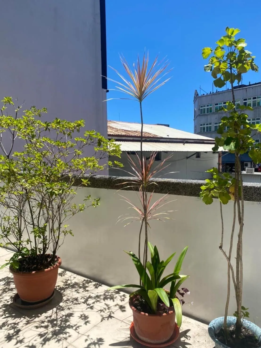 East of Love Homestay