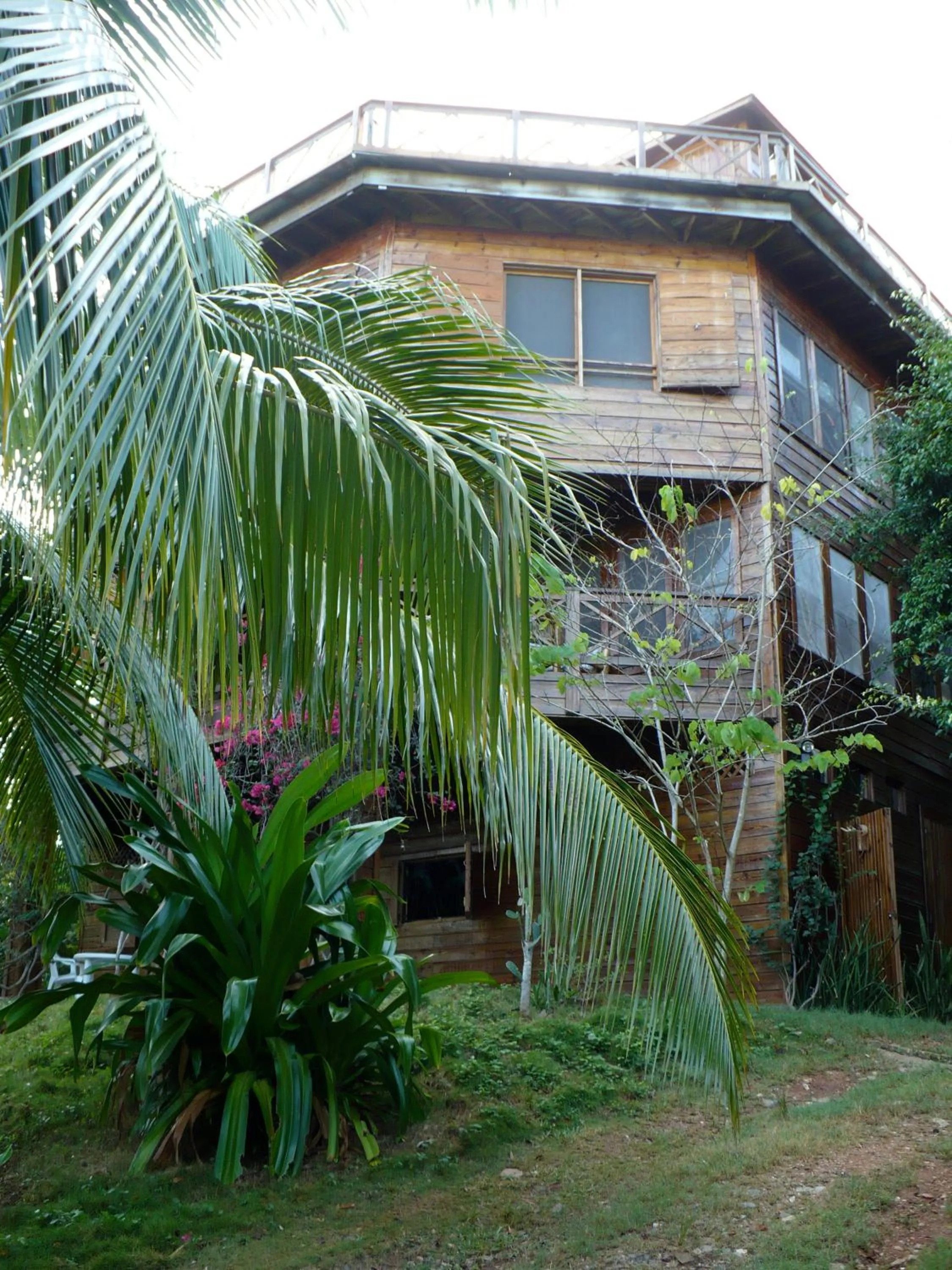 Area and facilities in Roatan Bed & Breakfast Apartments