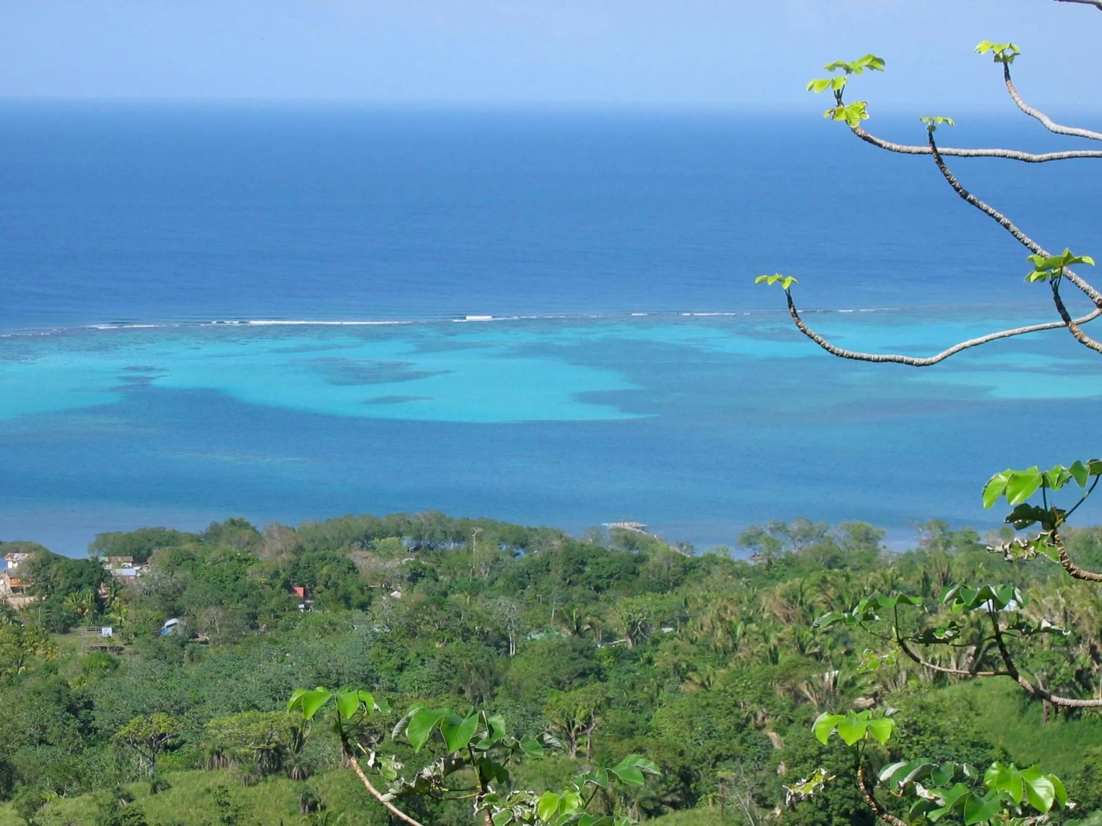 View (from property/room) in Roatan Bed & Breakfast Apartments