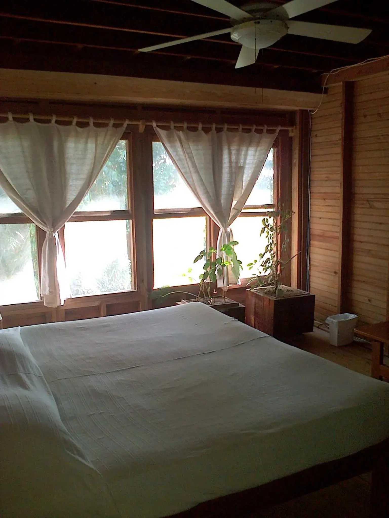 Double Room in Roatan Bed & Breakfast Apartments Double Room in Roatan Bed & Breakfast Apartments