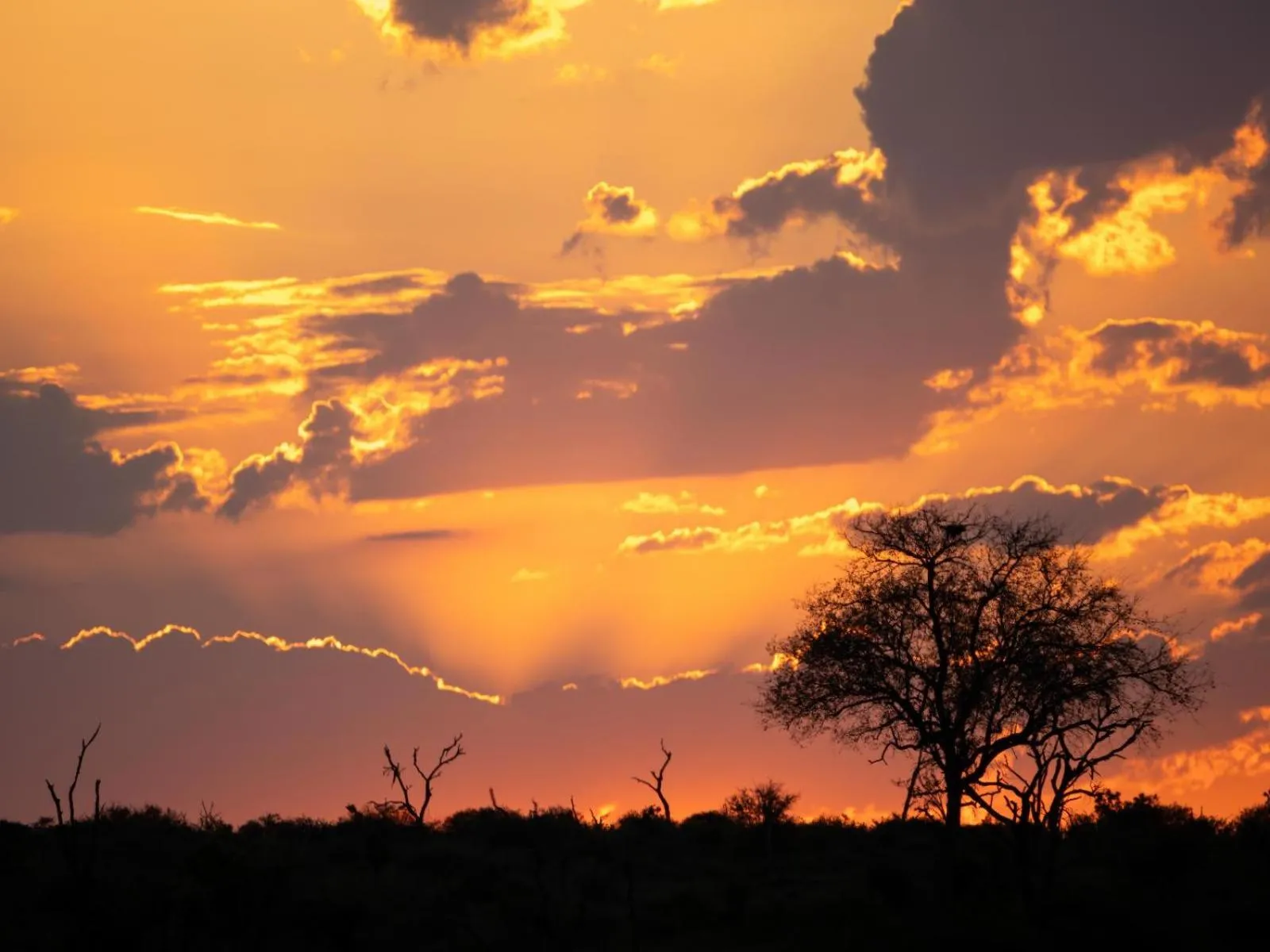 Neighbourhood in Grace of Africa, Kruger Couples Lodge