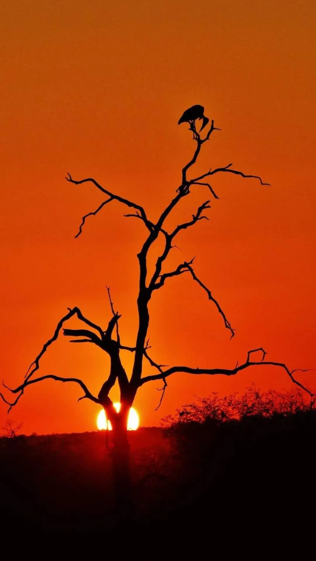 Natural landscape in Grace of Africa, Kruger Couples Lodge