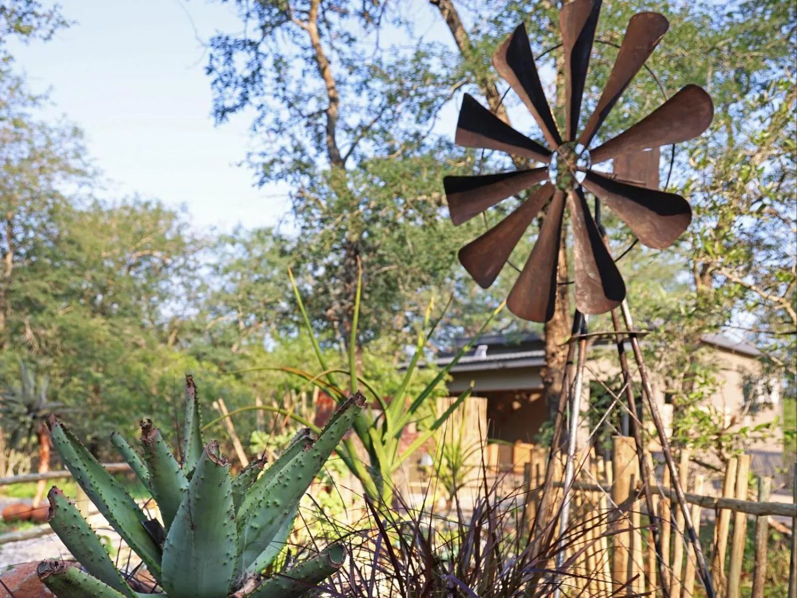Garden in Grace of Africa, Kruger Couples Lodge