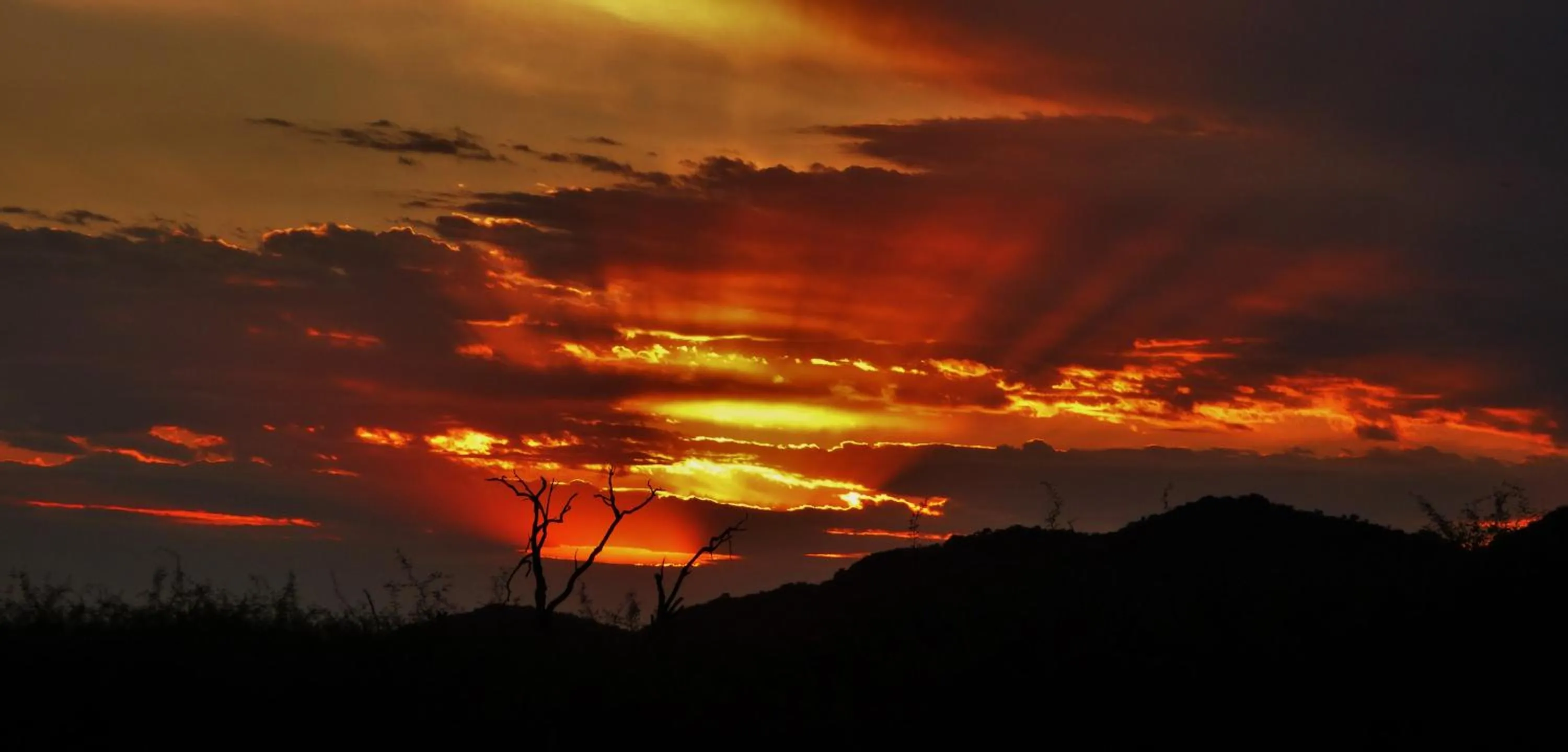 Natural landscape in Grace of Africa, Kruger Couples Lodge