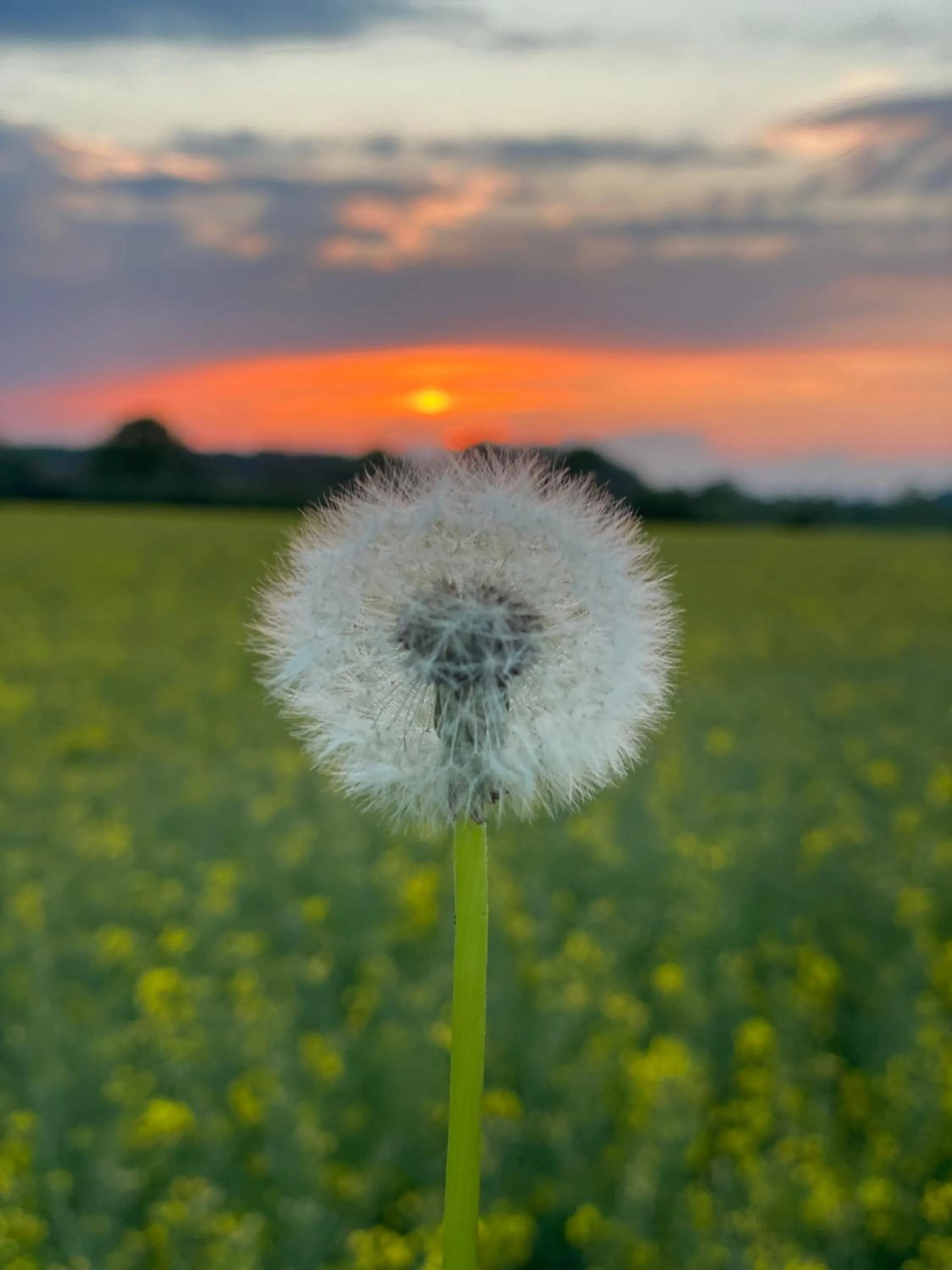 Natural landscape in GSand Le Clos du May