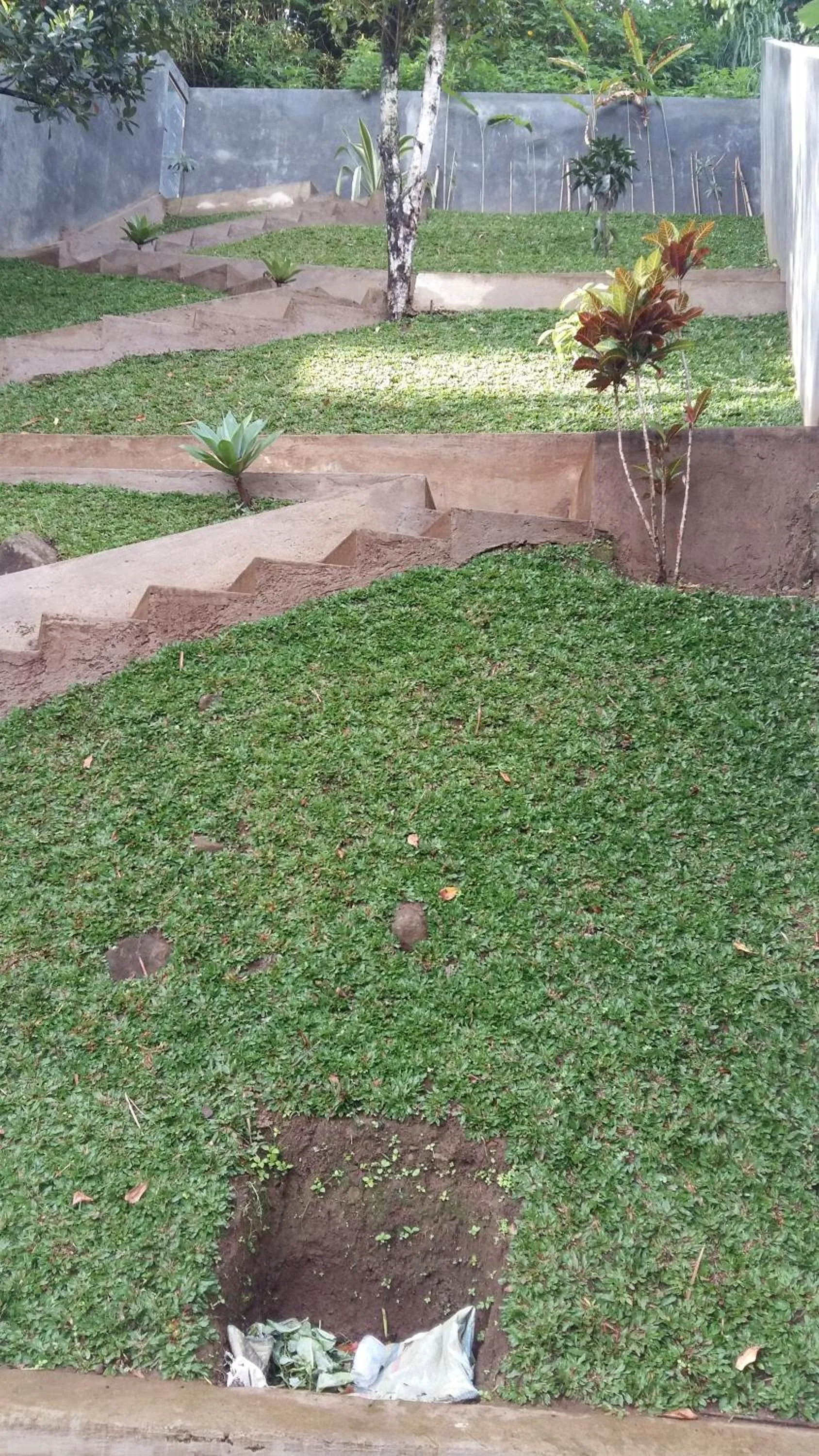 Garden view in Villa Roemi