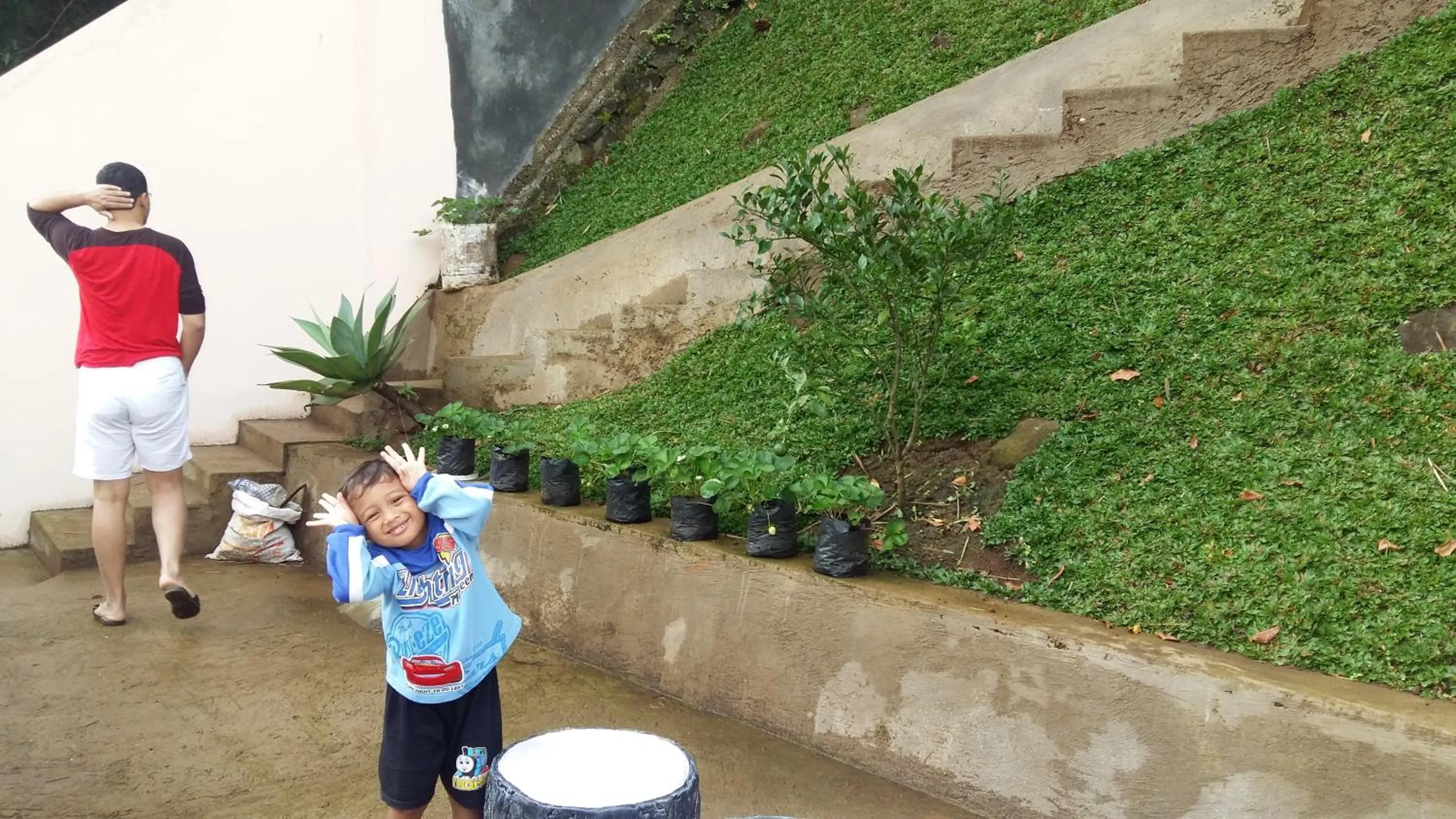 Garden view in Villa Roemi